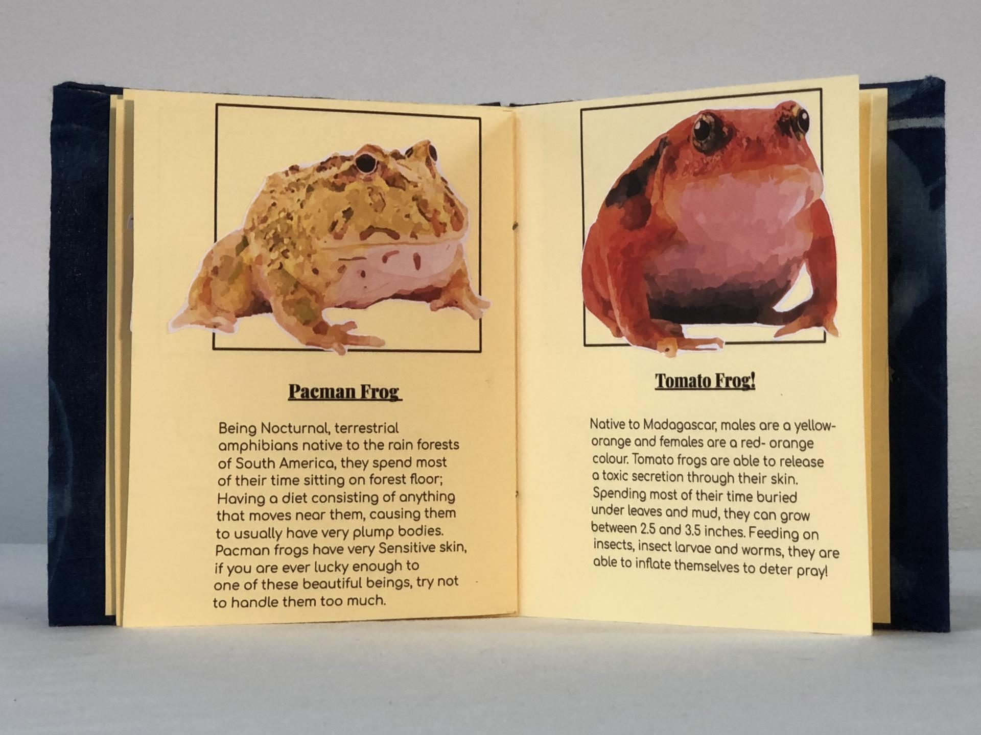 Ellie Burton | Pre-degree & Foundation Studies 3