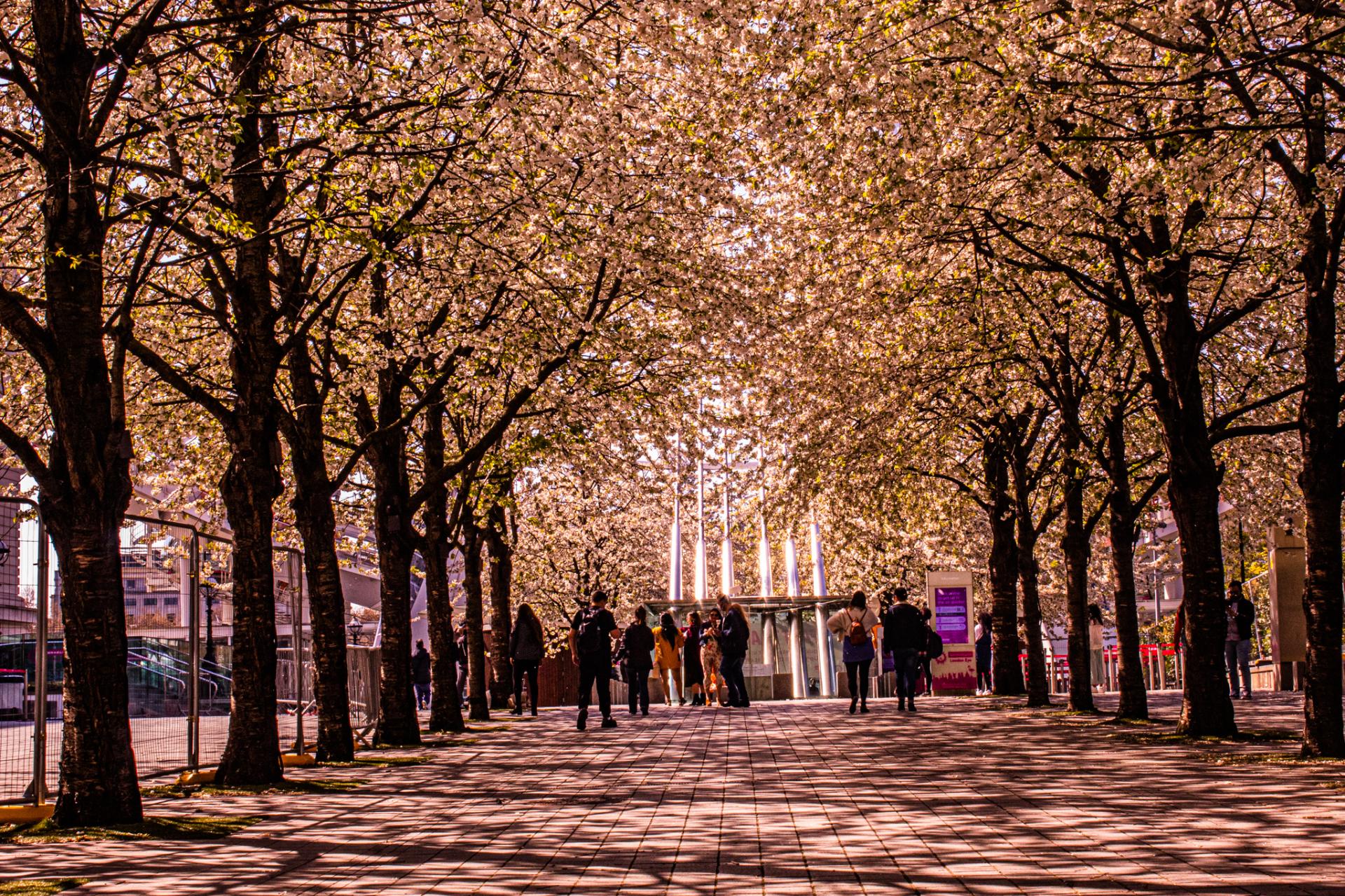 Sarah Thornley | Pre-degree & Foundation Studies 5