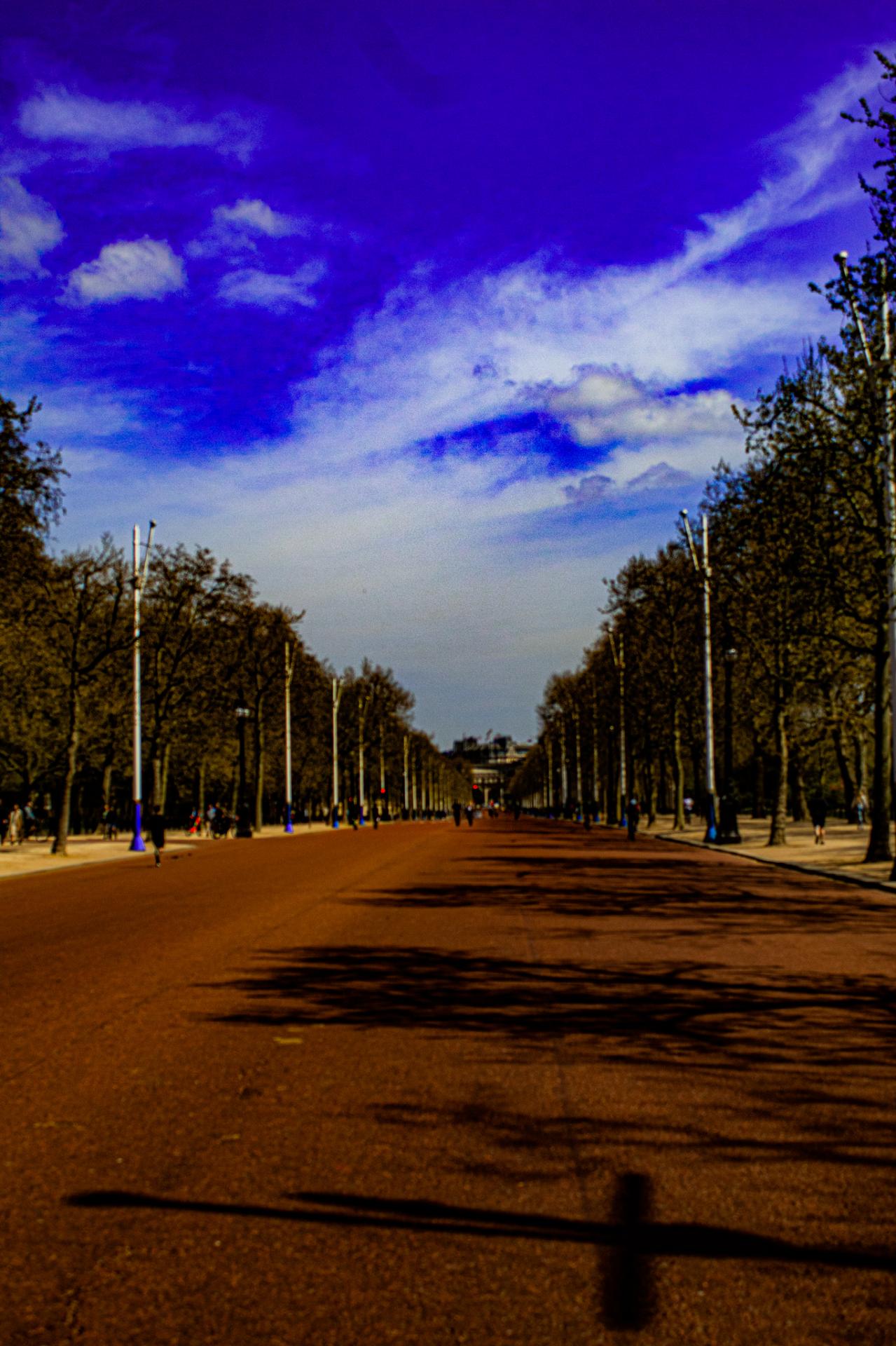 Sarah Thornley | Pre-degree & Foundation Studies