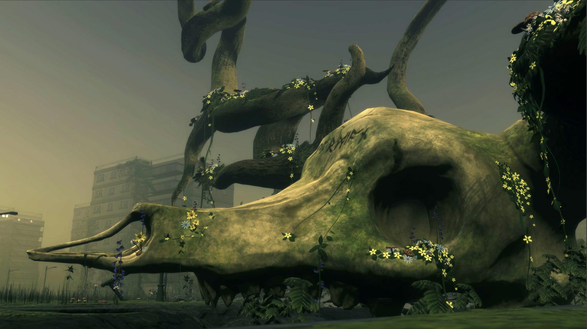 Madeleine Coffey | Games 3