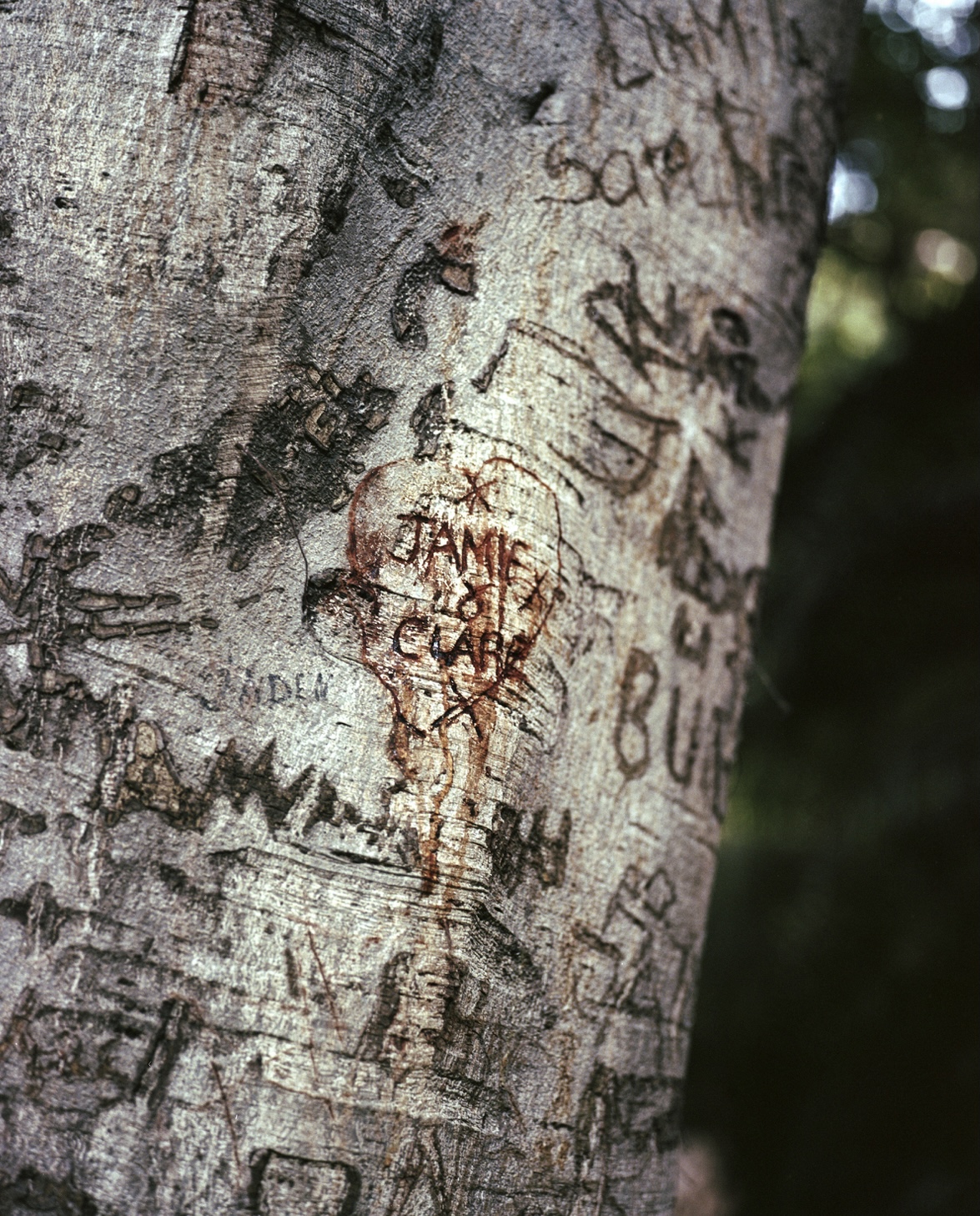 Daryl Pallas | Photography 2