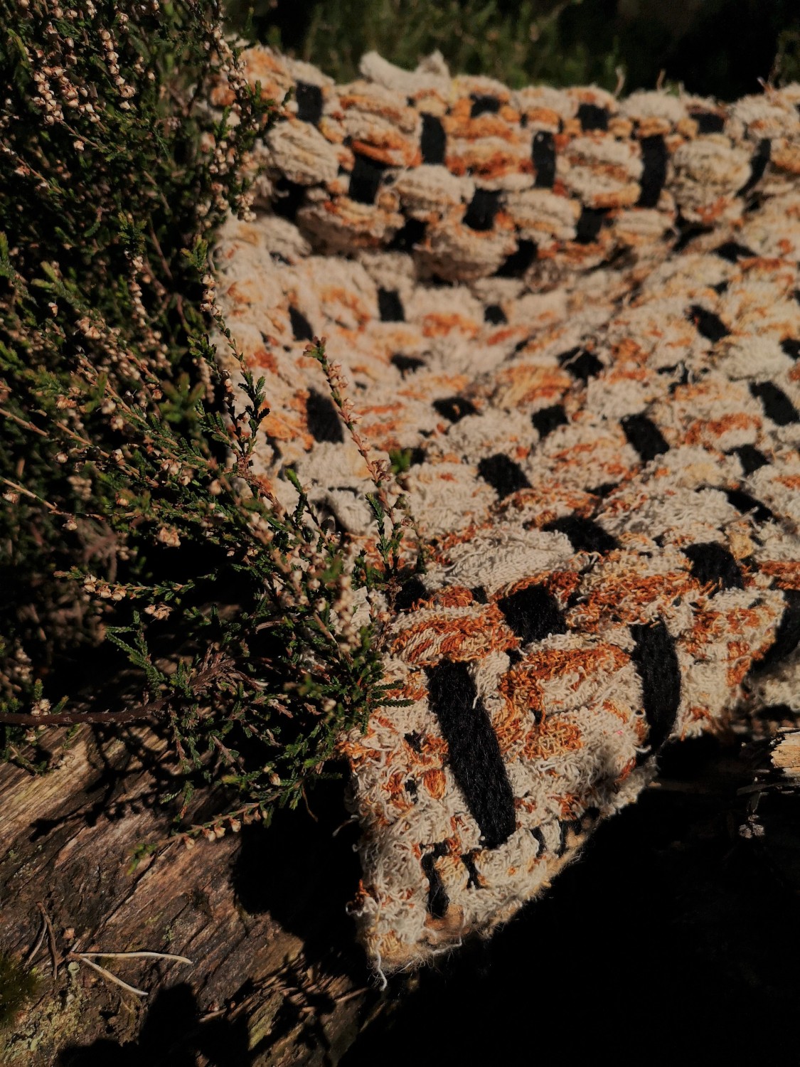 Egle Silevaite | Textiles 1