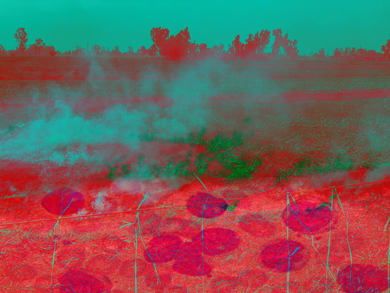 Sukhwinder Singh | Photography 6