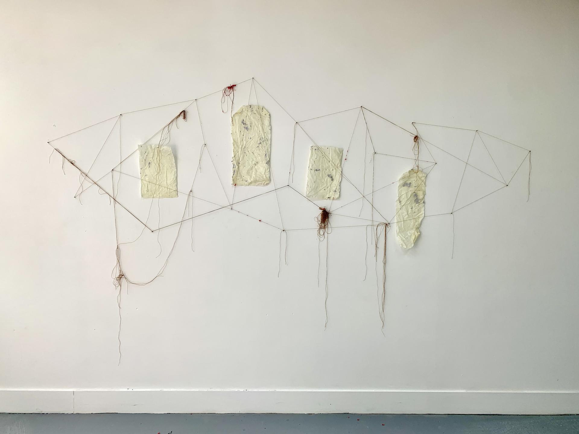 Megan Riley | Fine Art 1