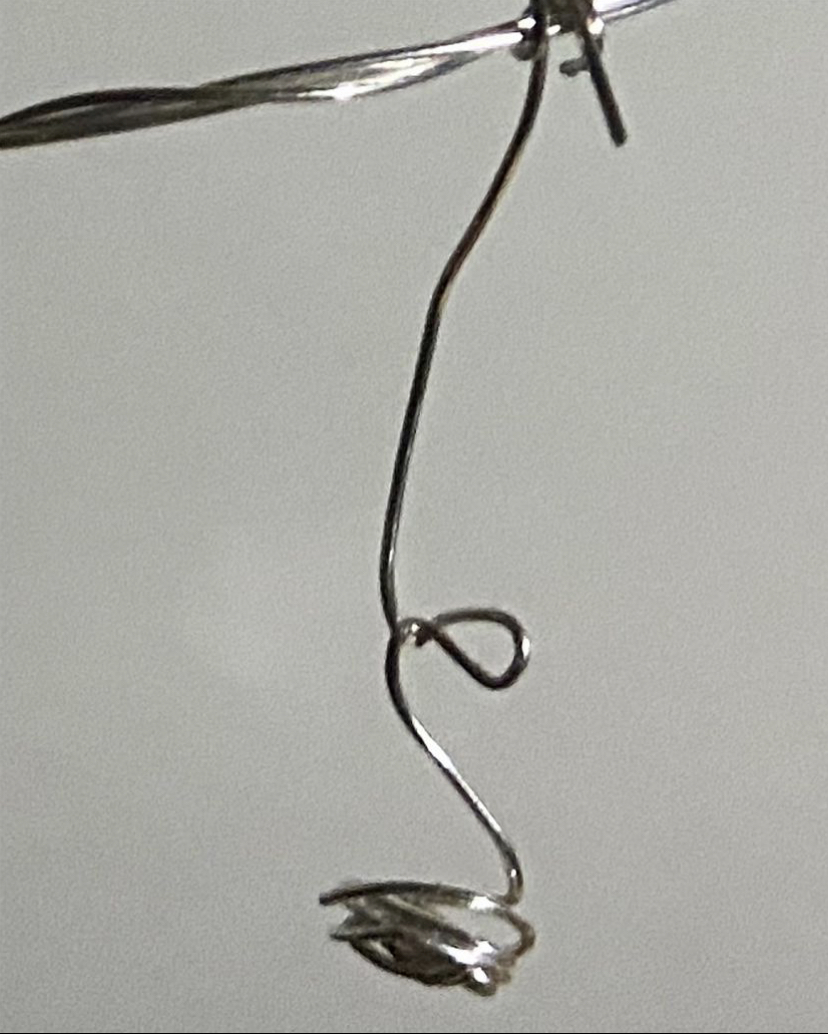 Rebecca Adambarage | Pre-degree & Foundation Studies