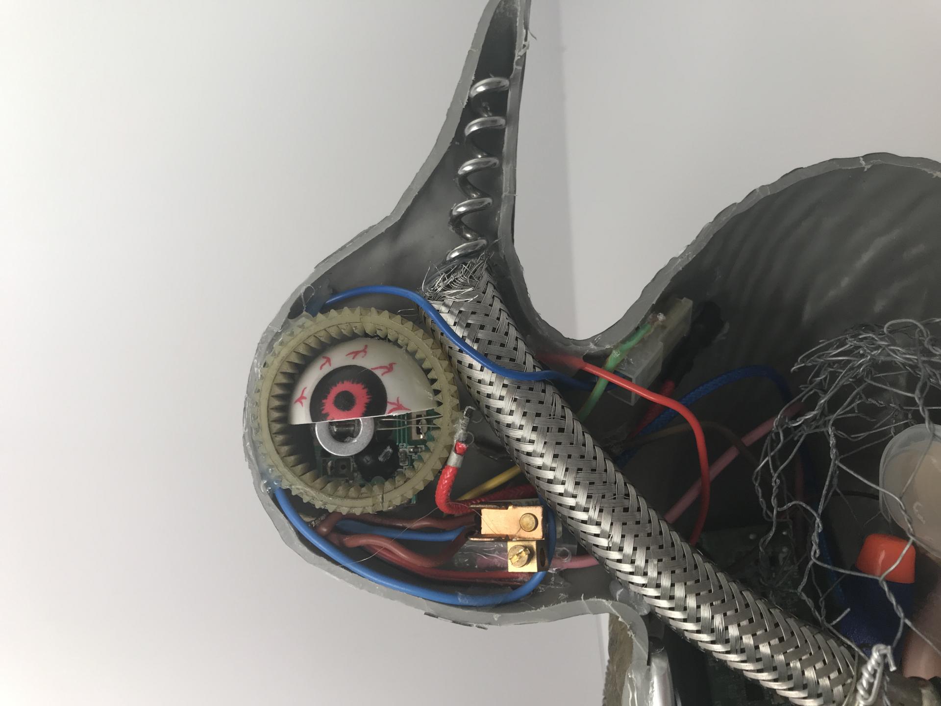 Jack Jefferies | Pre-degree & Foundation Studies