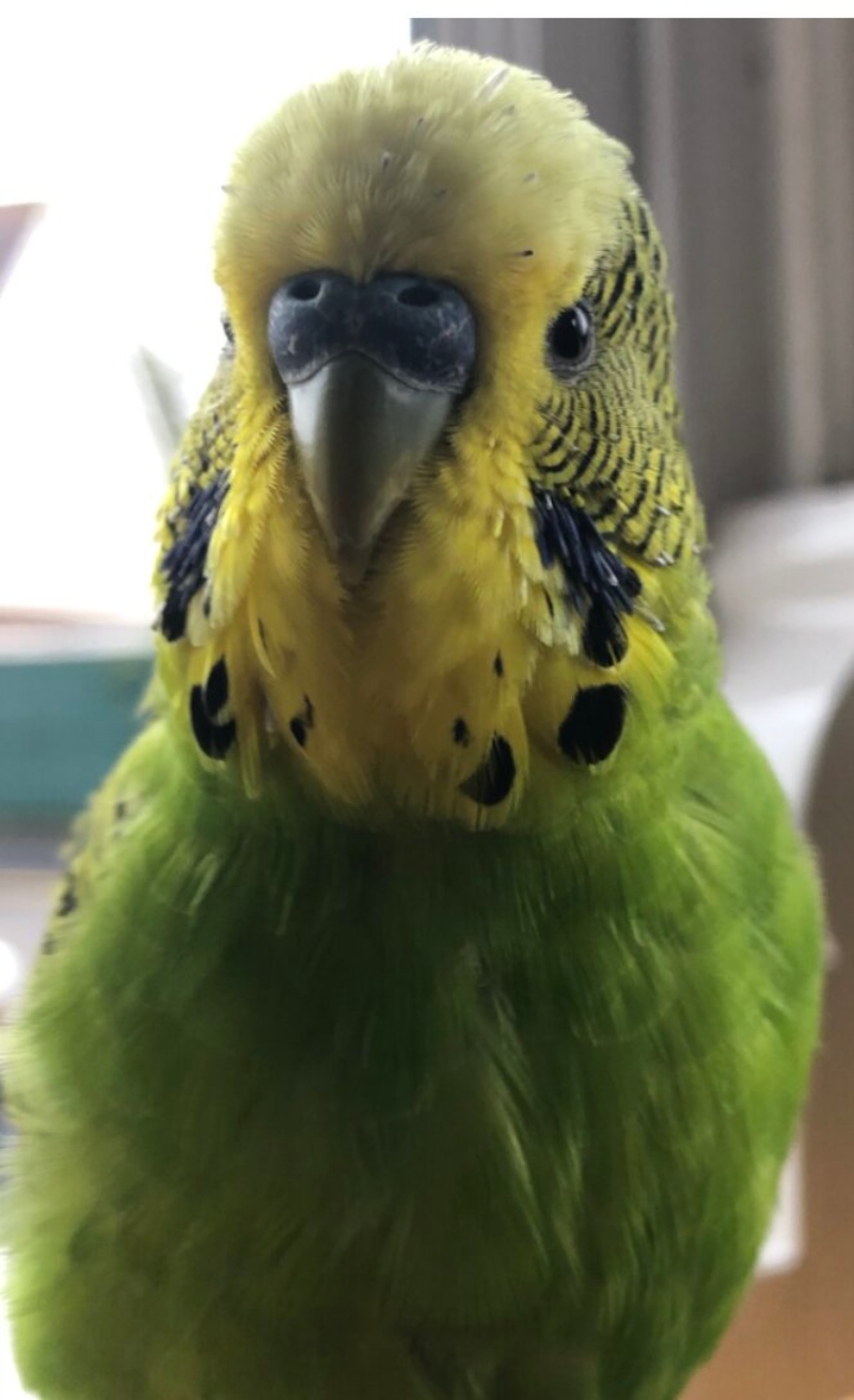 Max Booth | Pre-degree & Foundation Studies 3