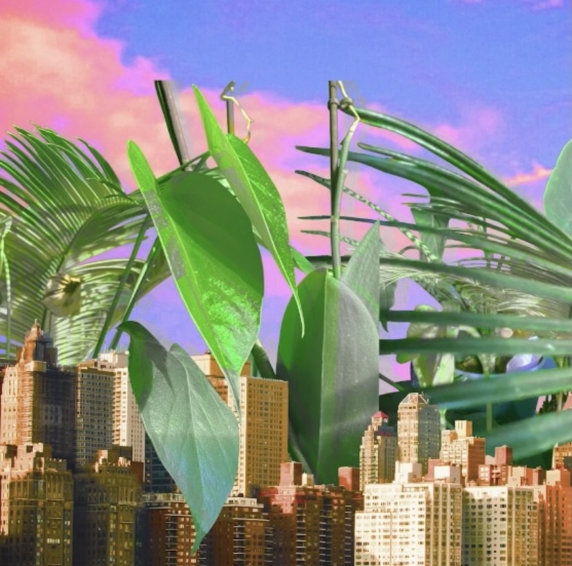 Ellie Hamilton-Miller | Pre-degree & Foundation Studies