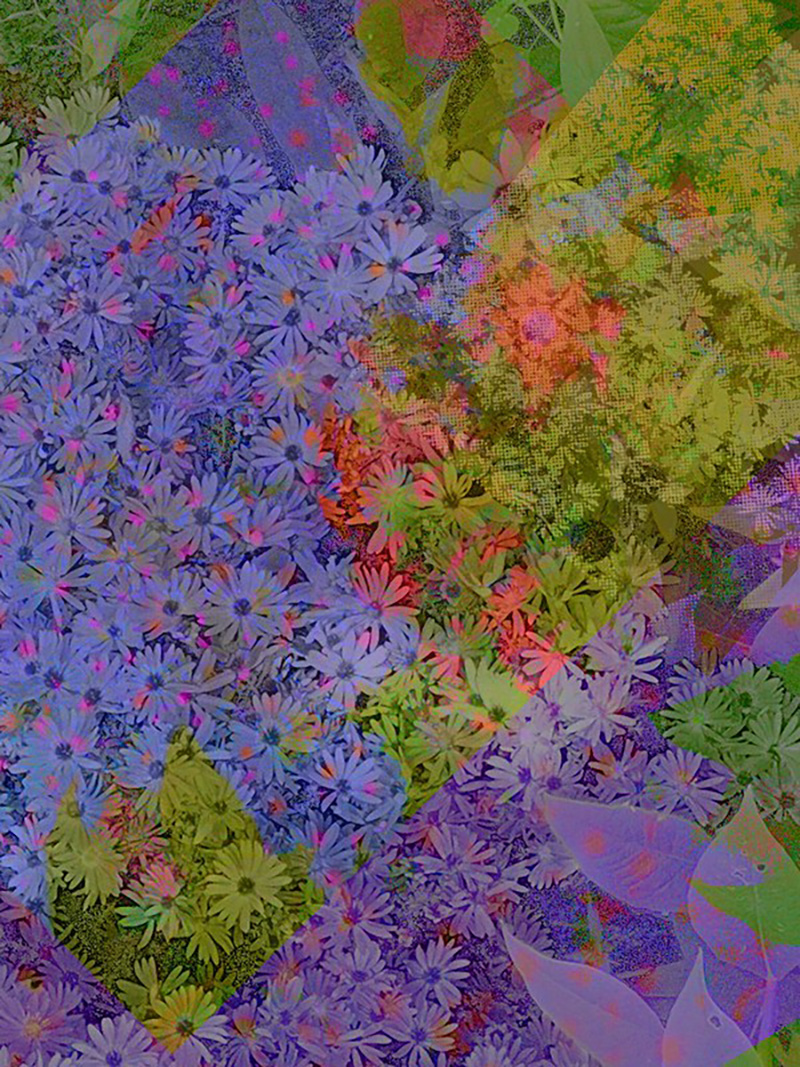 Tara Gallagher | Pre-degree & Foundation Studies