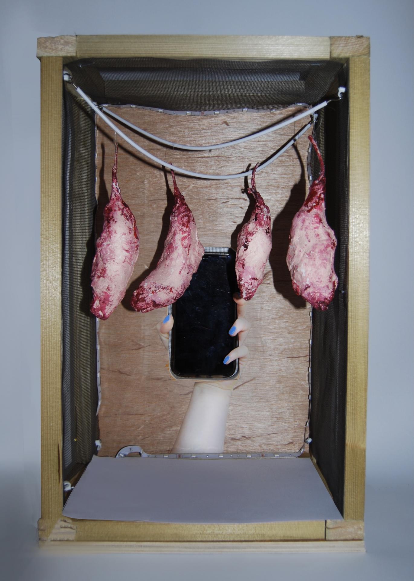 Hannah Lacey | Graphic Design 5