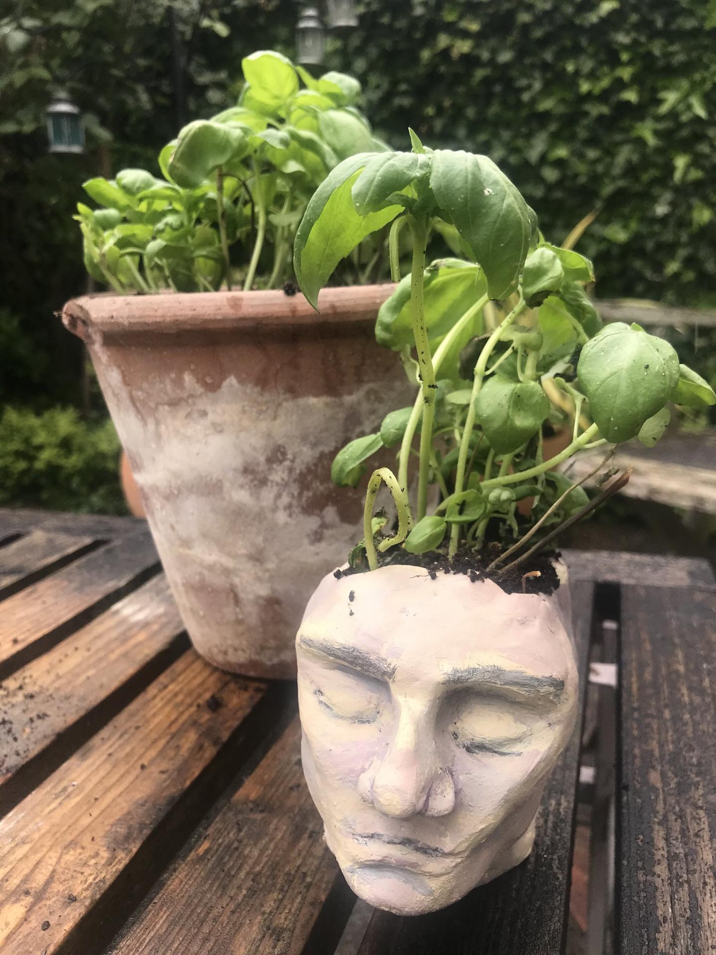 Maddie Keates | Pre-degree & Foundation Studies 1