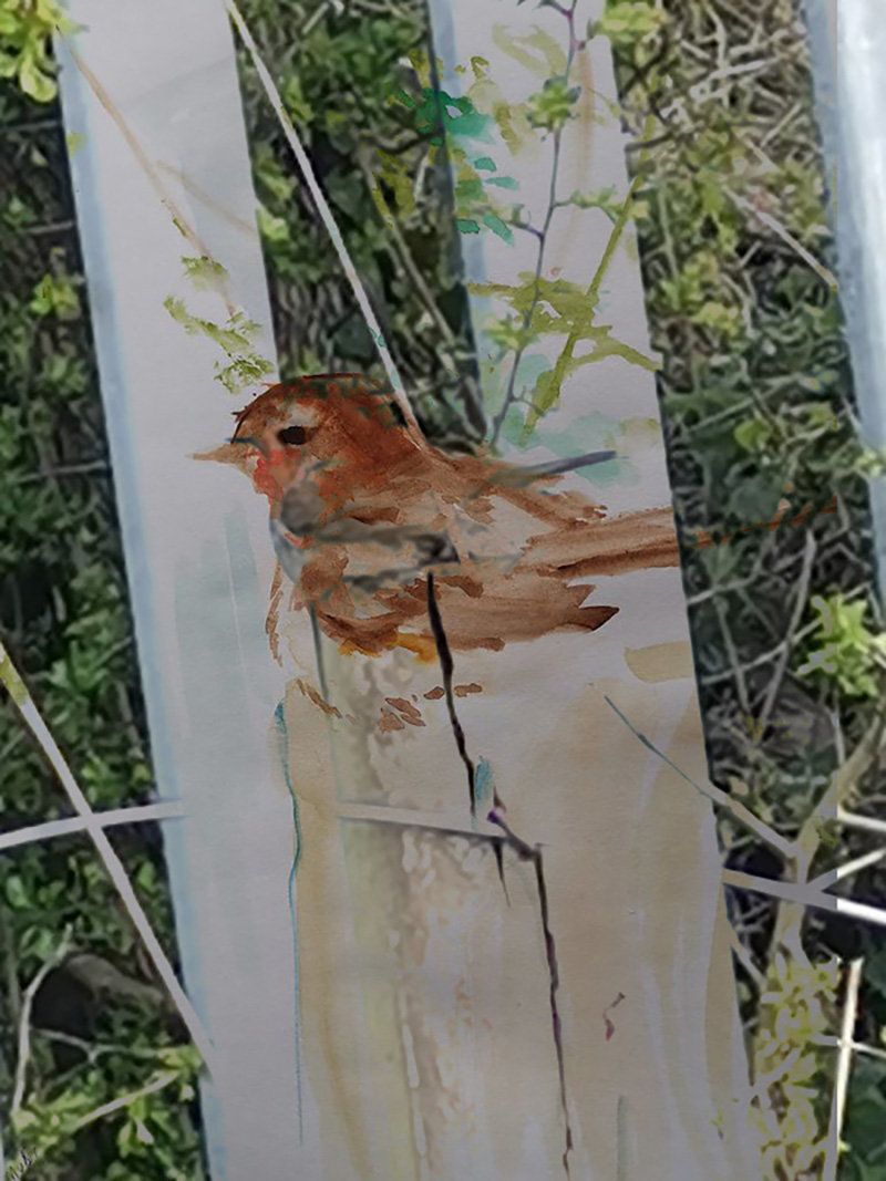 Tara Gallagher | Pre-degree & Foundation Studies 4