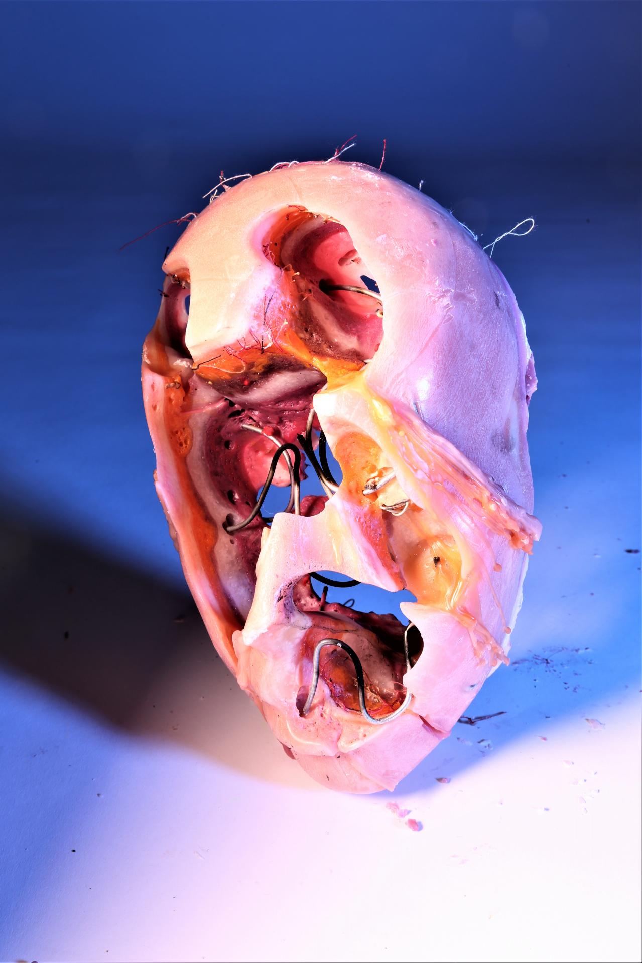 Emily Bowden | Pre-degree & Foundation Studies 6