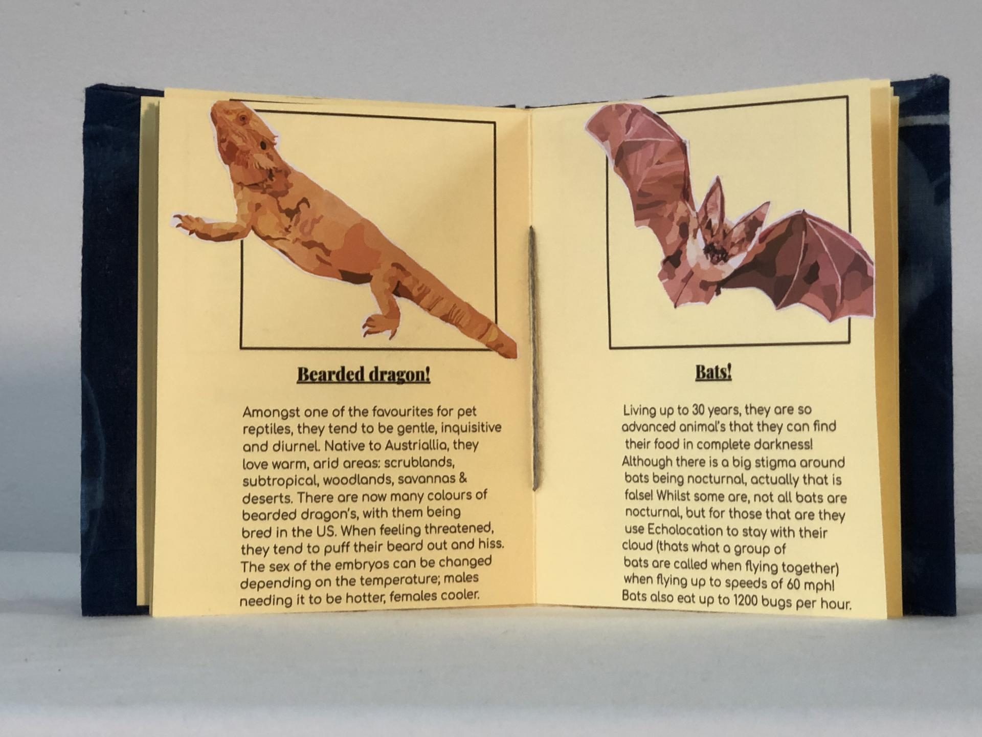 Ellie Burton | Pre-degree & Foundation Studies 2