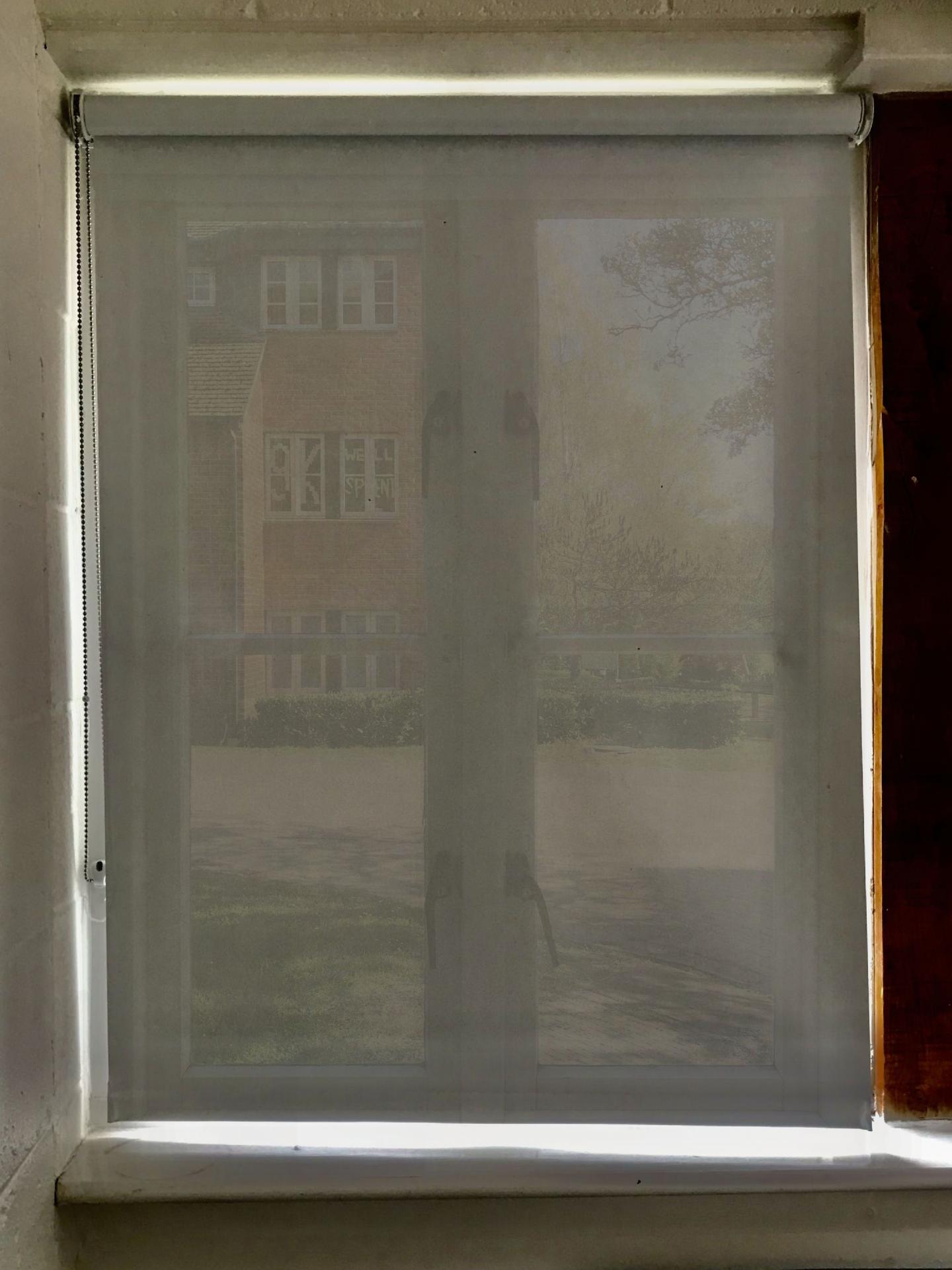 Rose Sambrook | Fine Art 4