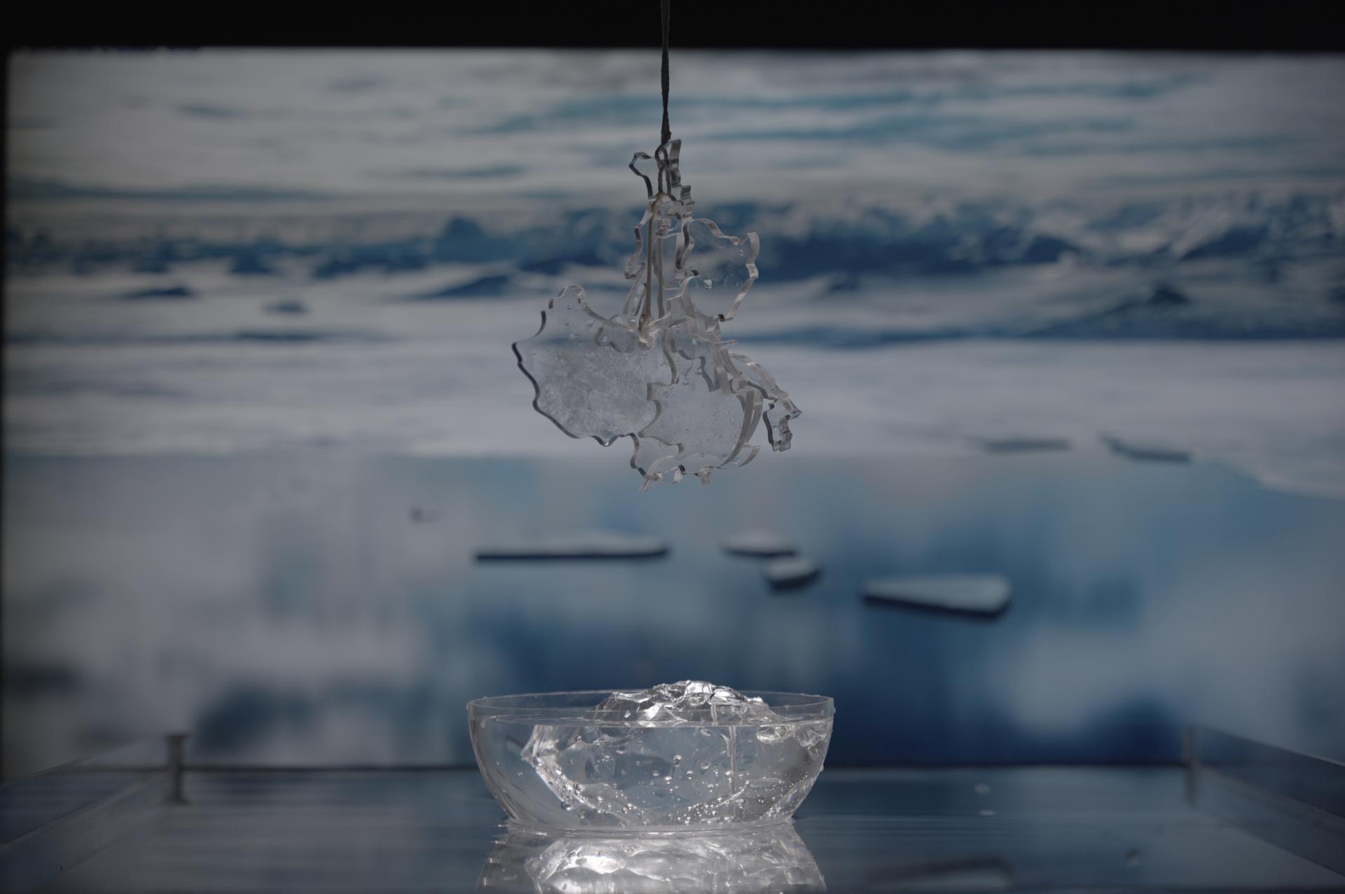 Zengsirui Wang | Graphic Design 3