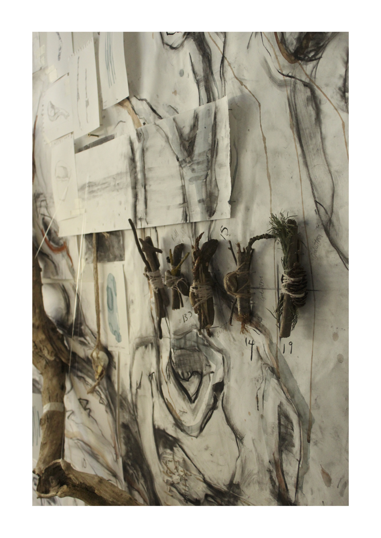 Molly Clark | Pre-degree & Foundation Studies