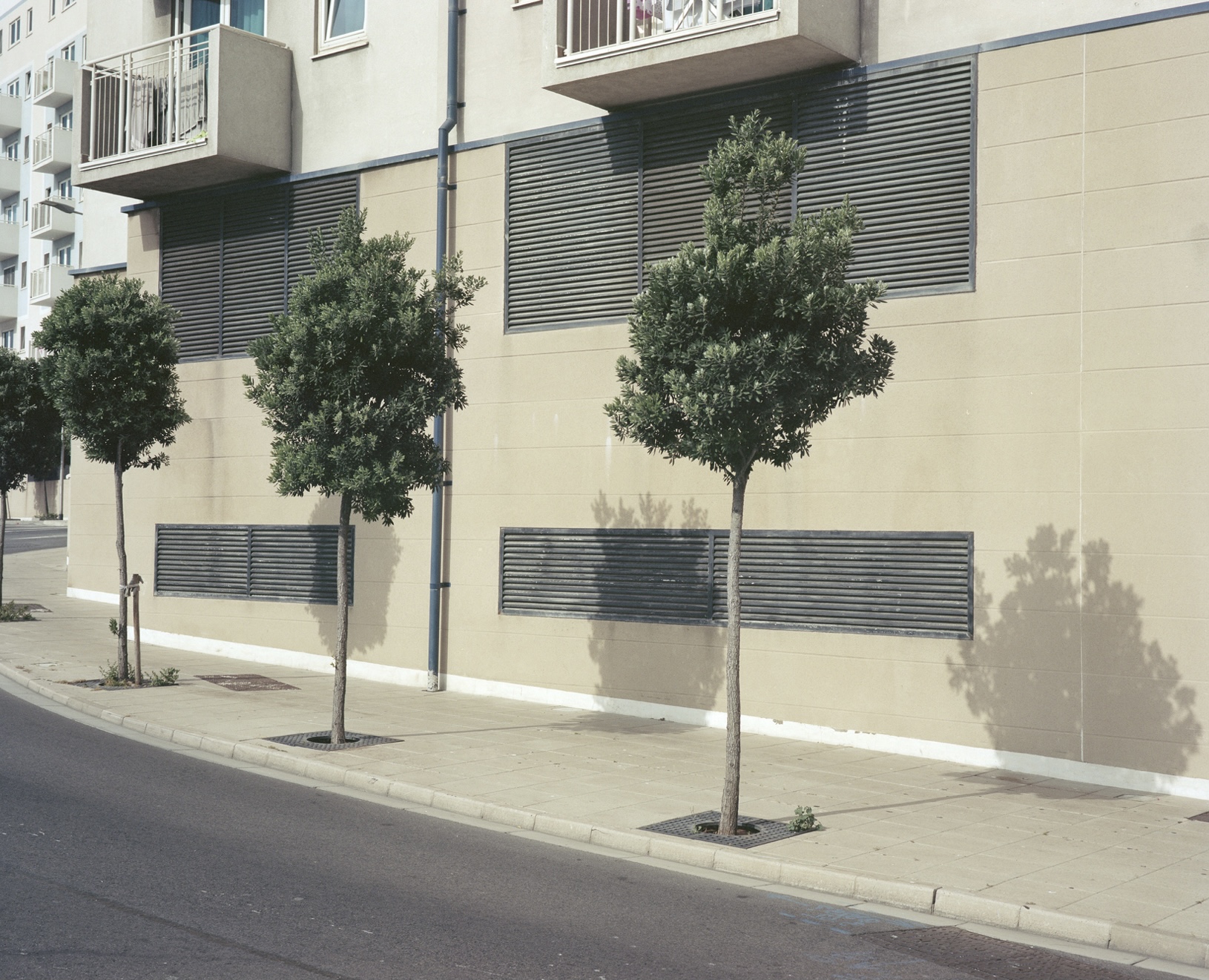 Daryl Pallas | Photography