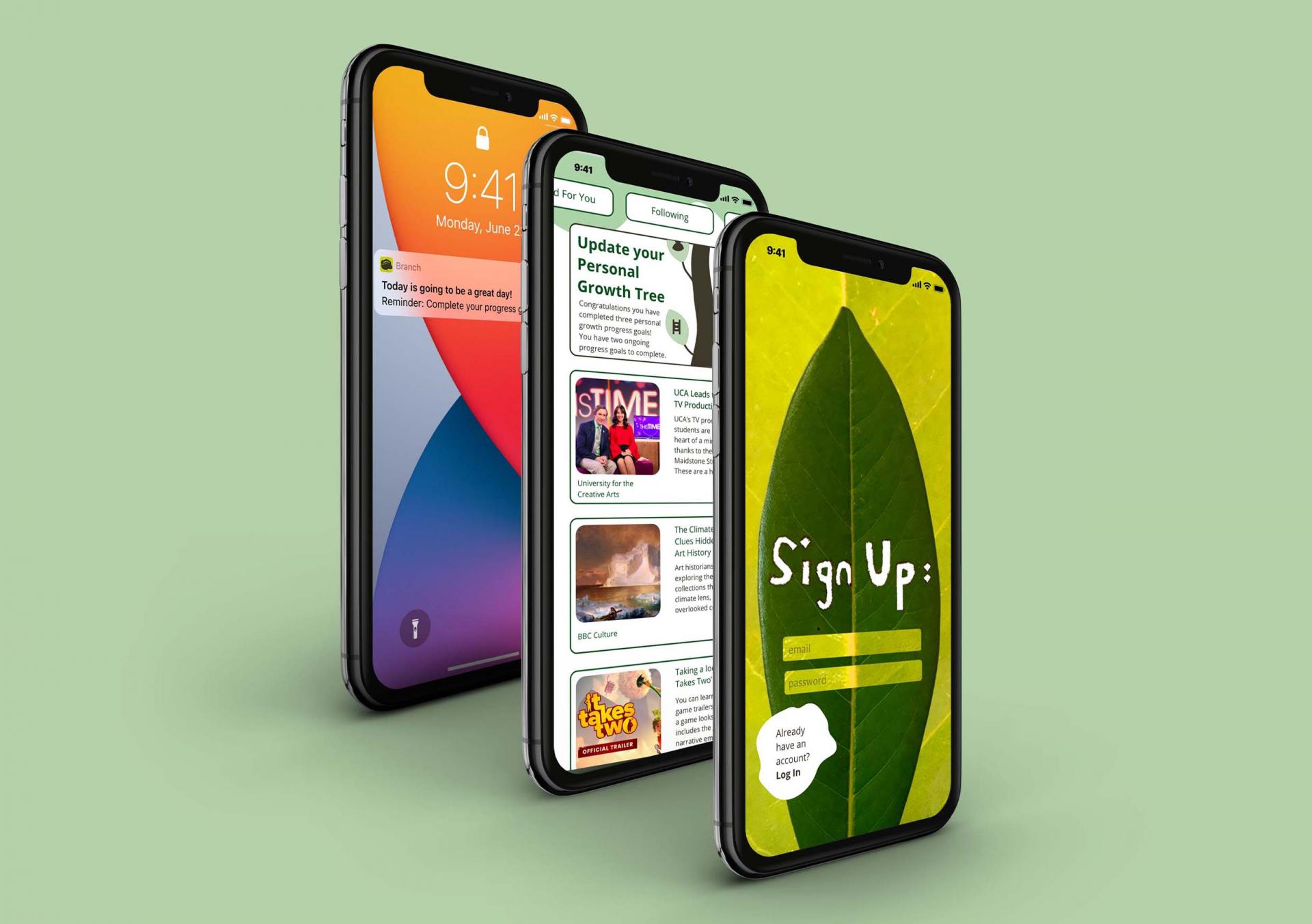 Natalia Pascucci | Graphic Design 5