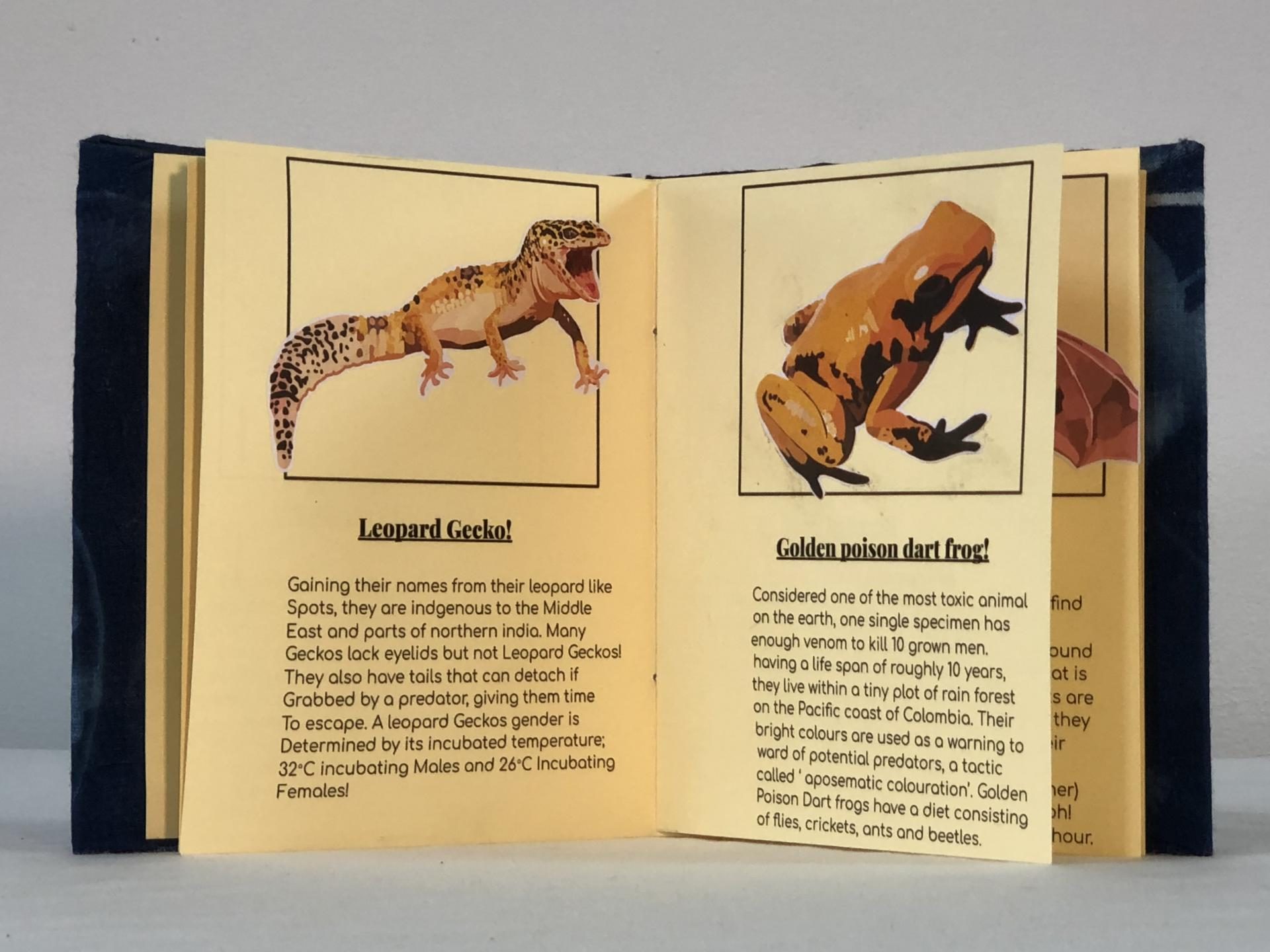 Ellie Burton | Pre-degree & Foundation Studies 4