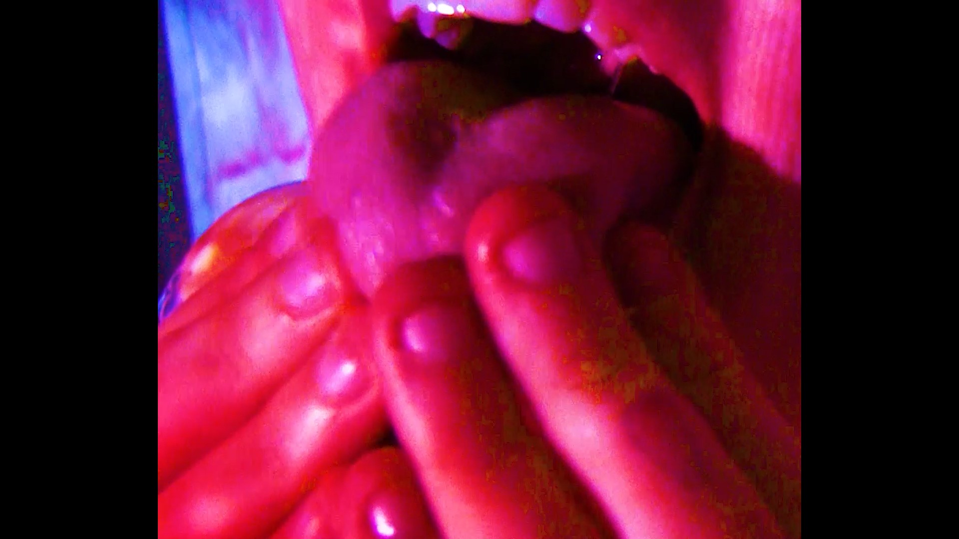 Anna Stevens | Fine Art 5