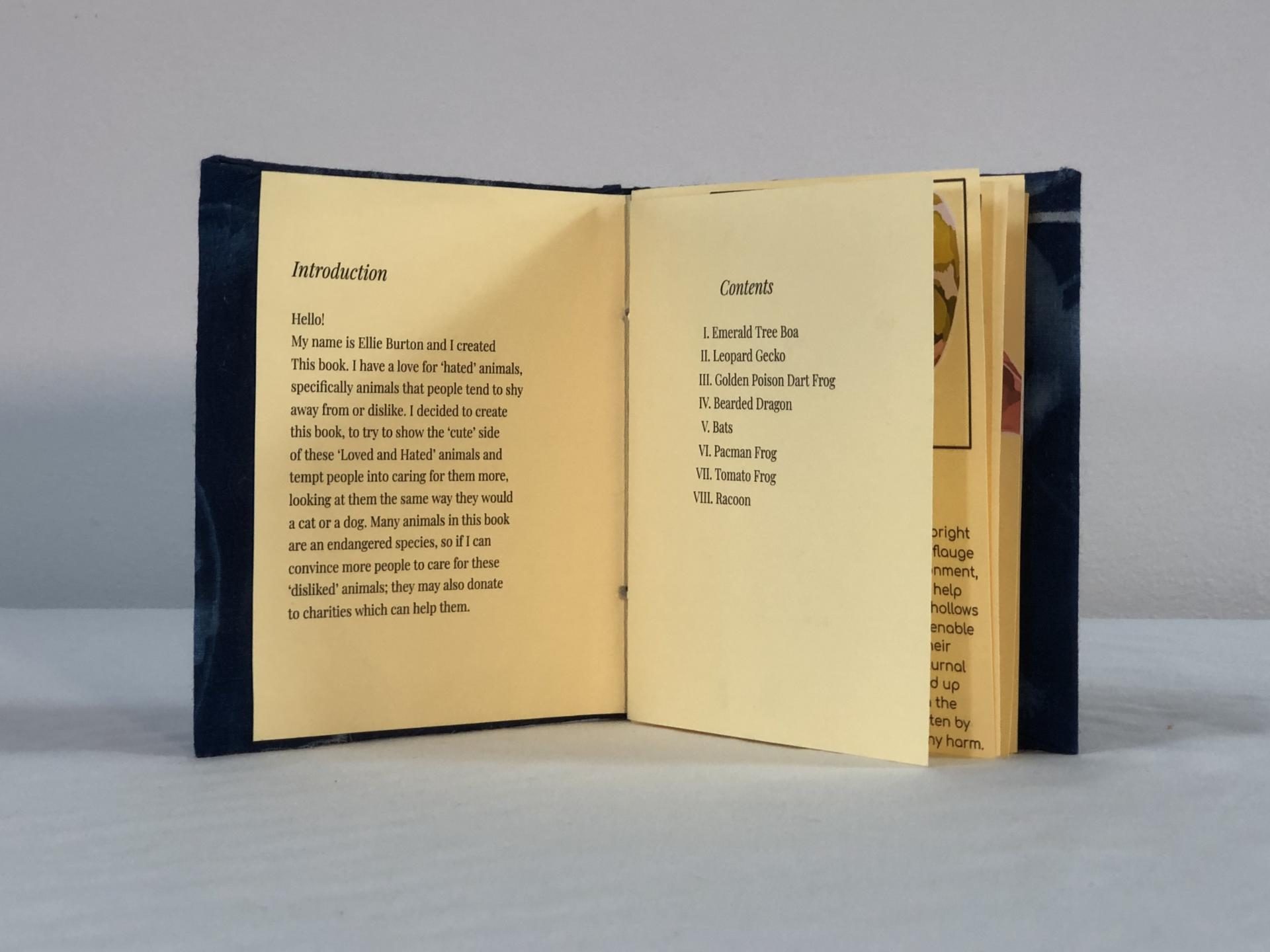 Ellie Burton | Pre-degree & Foundation Studies 5