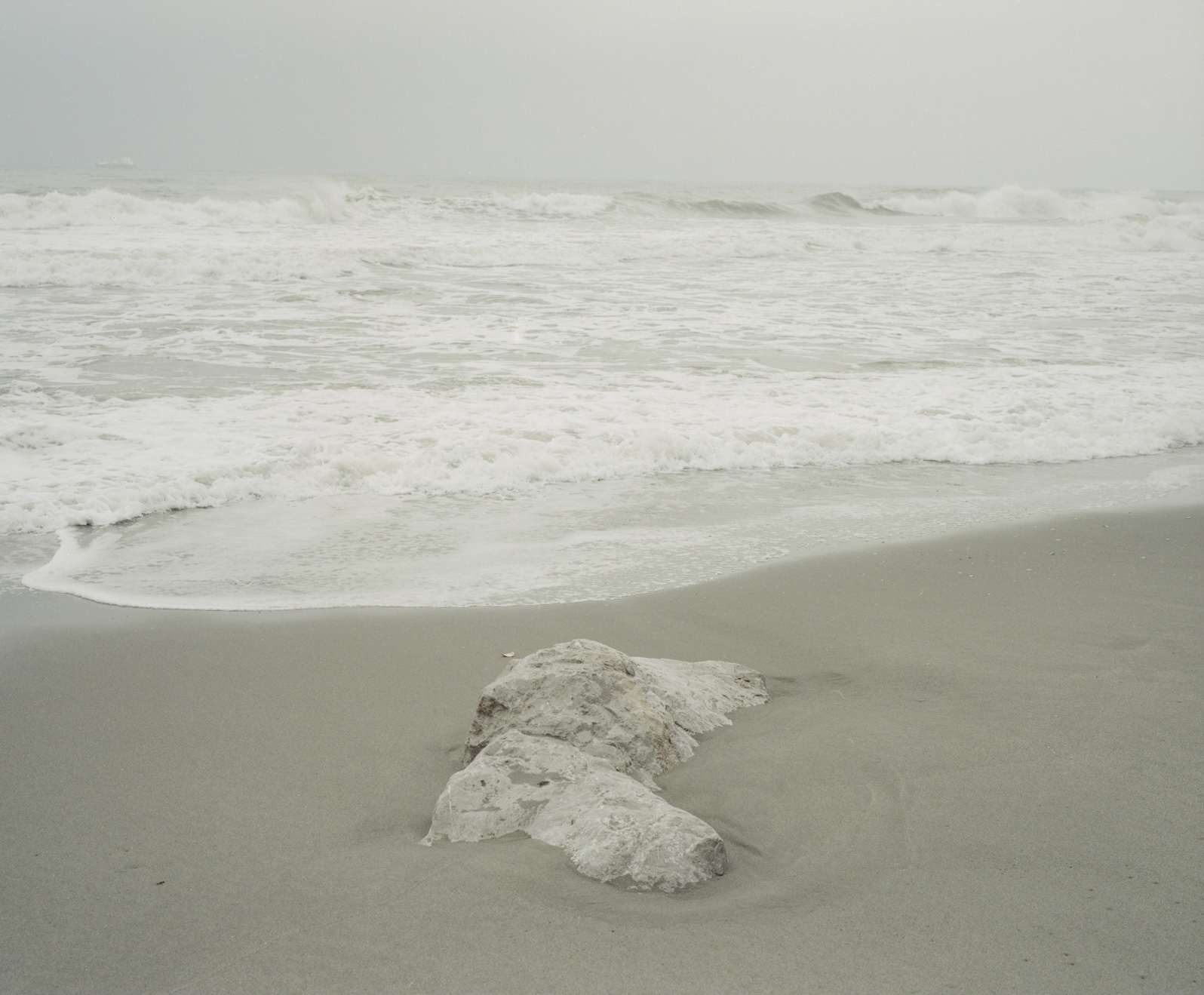 Daryl Pallas | Photography 5