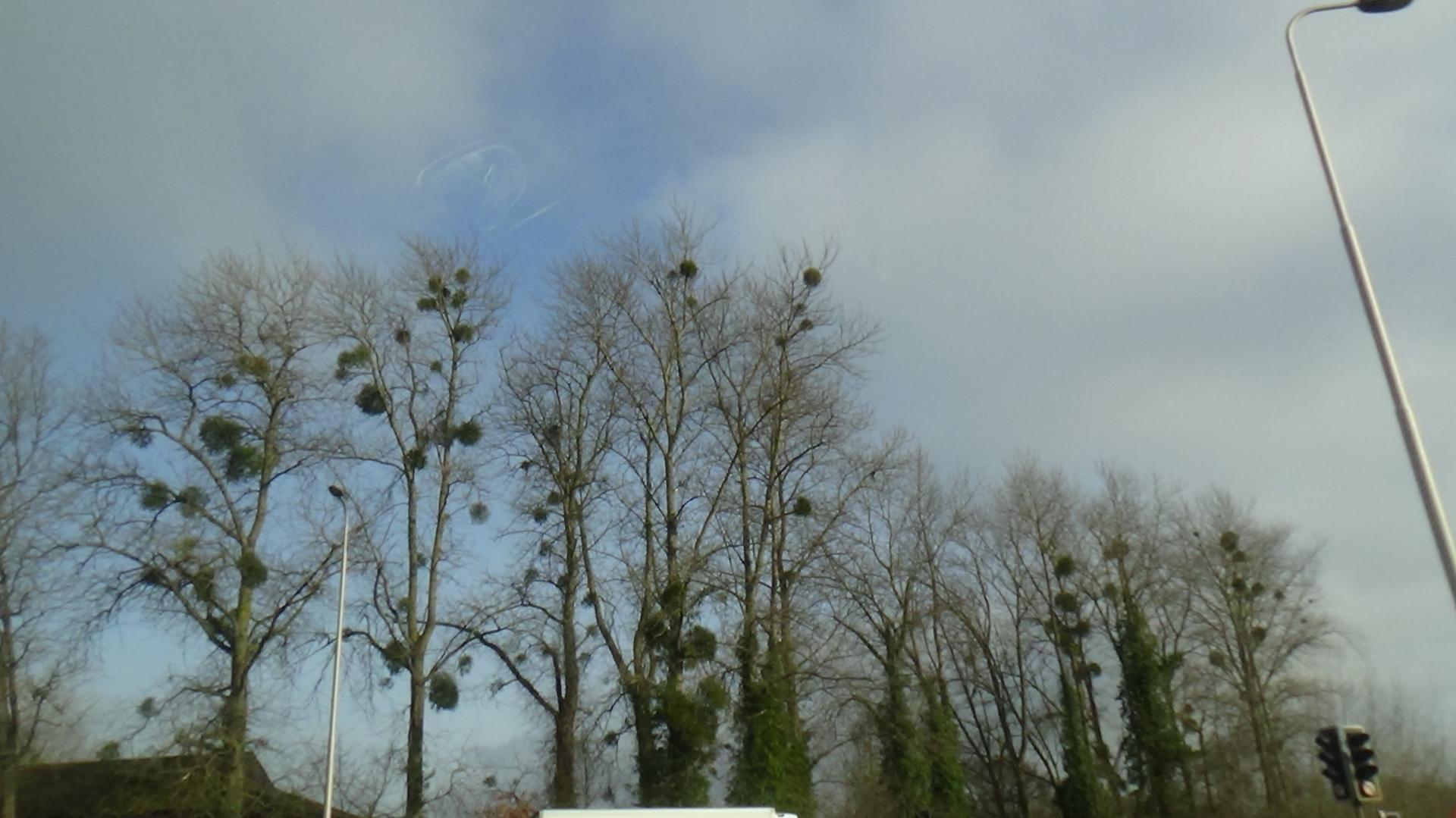 Maddie Keates | Pre-degree & Foundation Studies 2