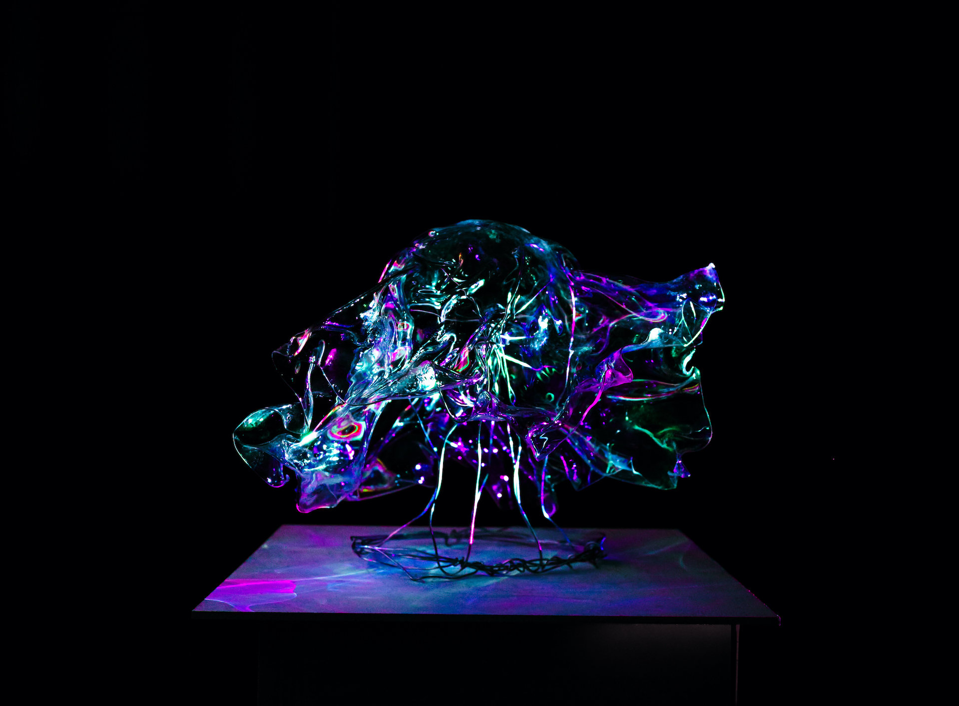 Carys Tupper | Pre-degree & Foundation Studies 2