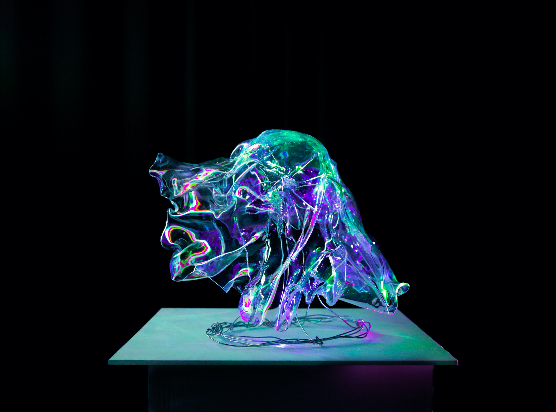 Carys Tupper | Pre-degree & Foundation Studies 4