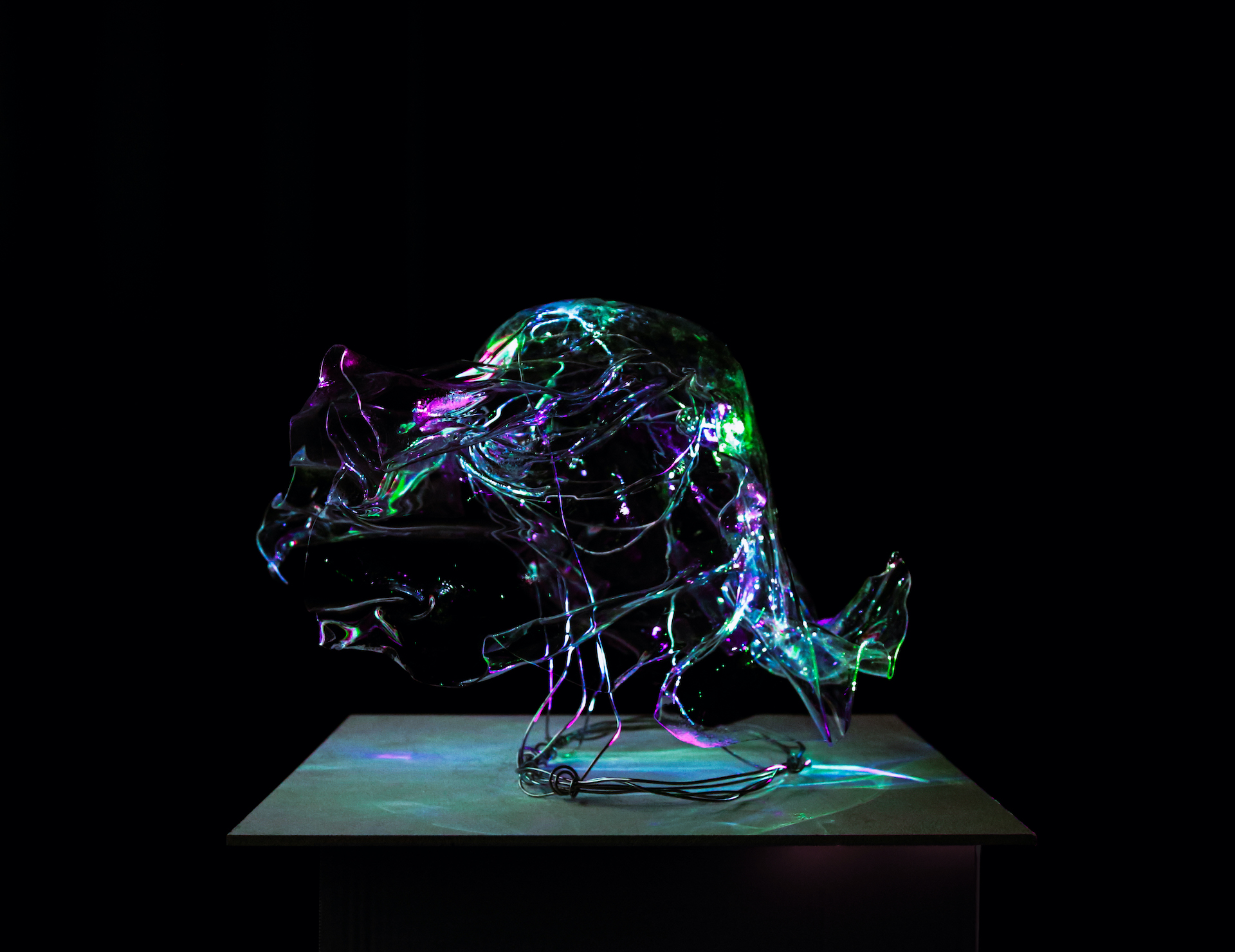 Carys Tupper | Pre-degree & Foundation Studies 1