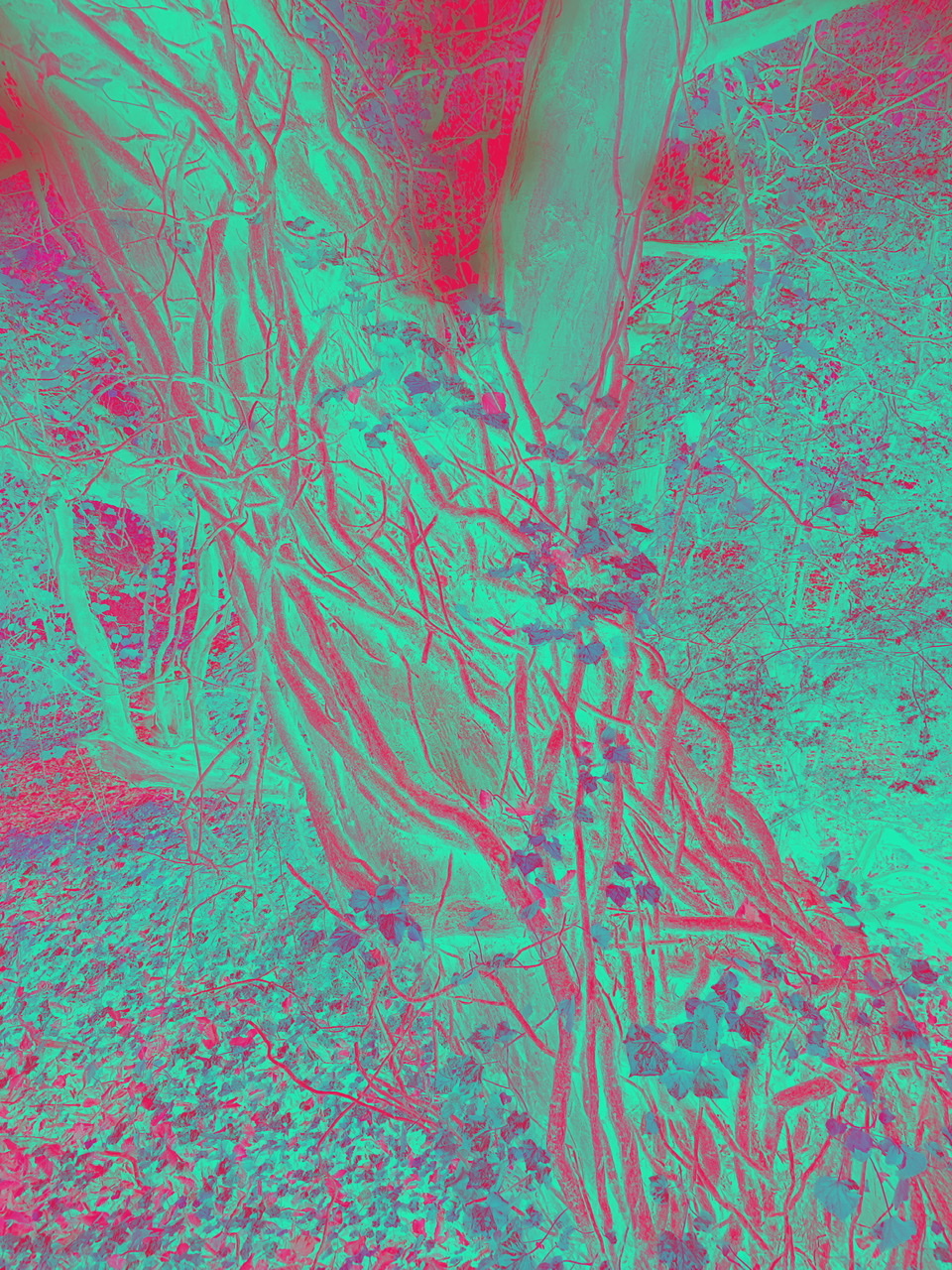 Sukhwinder Singh | Photography 1