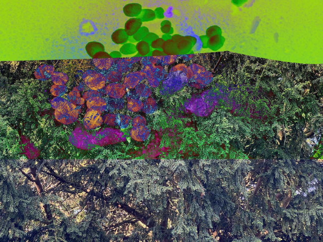 Sukhwinder Singh | Photography 3