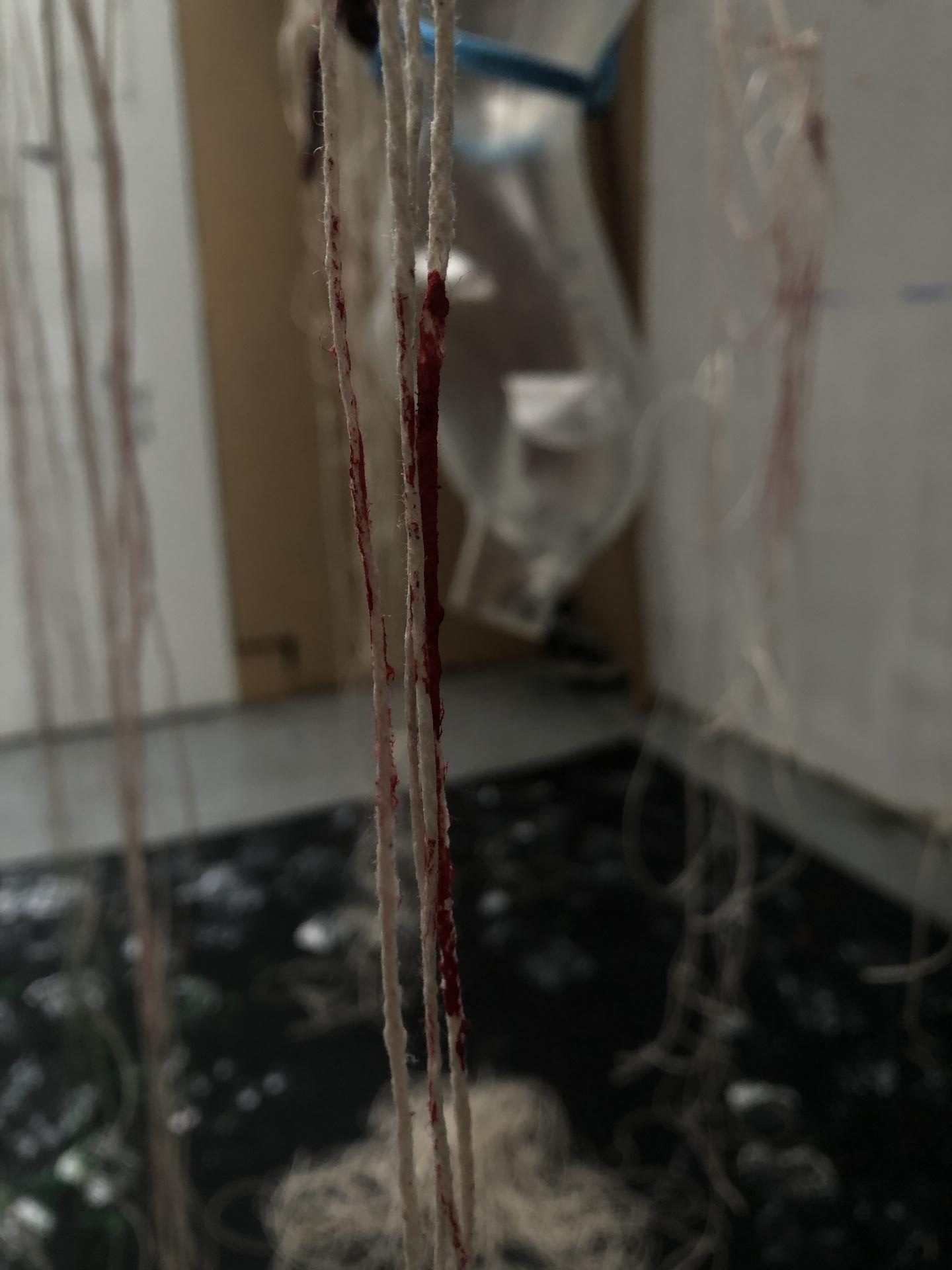 Emma Cronk | Pre-degree & Foundation Studies 5