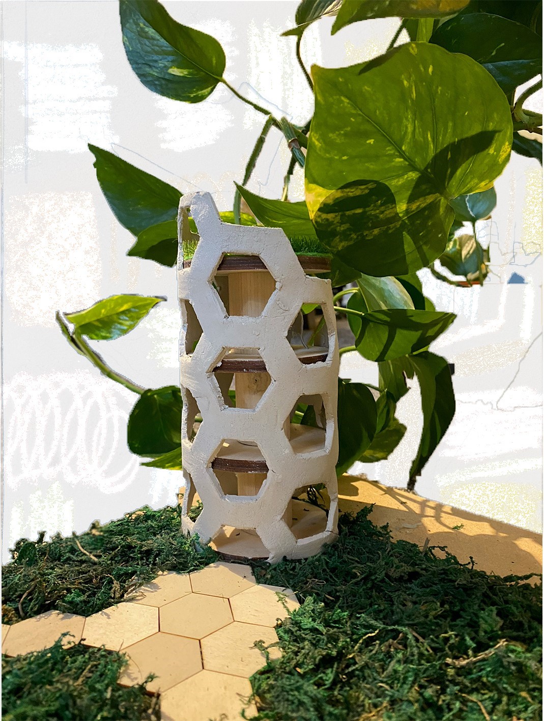 Triantafyllia Panagopoulou | Pre-degree & Foundation Studies 1