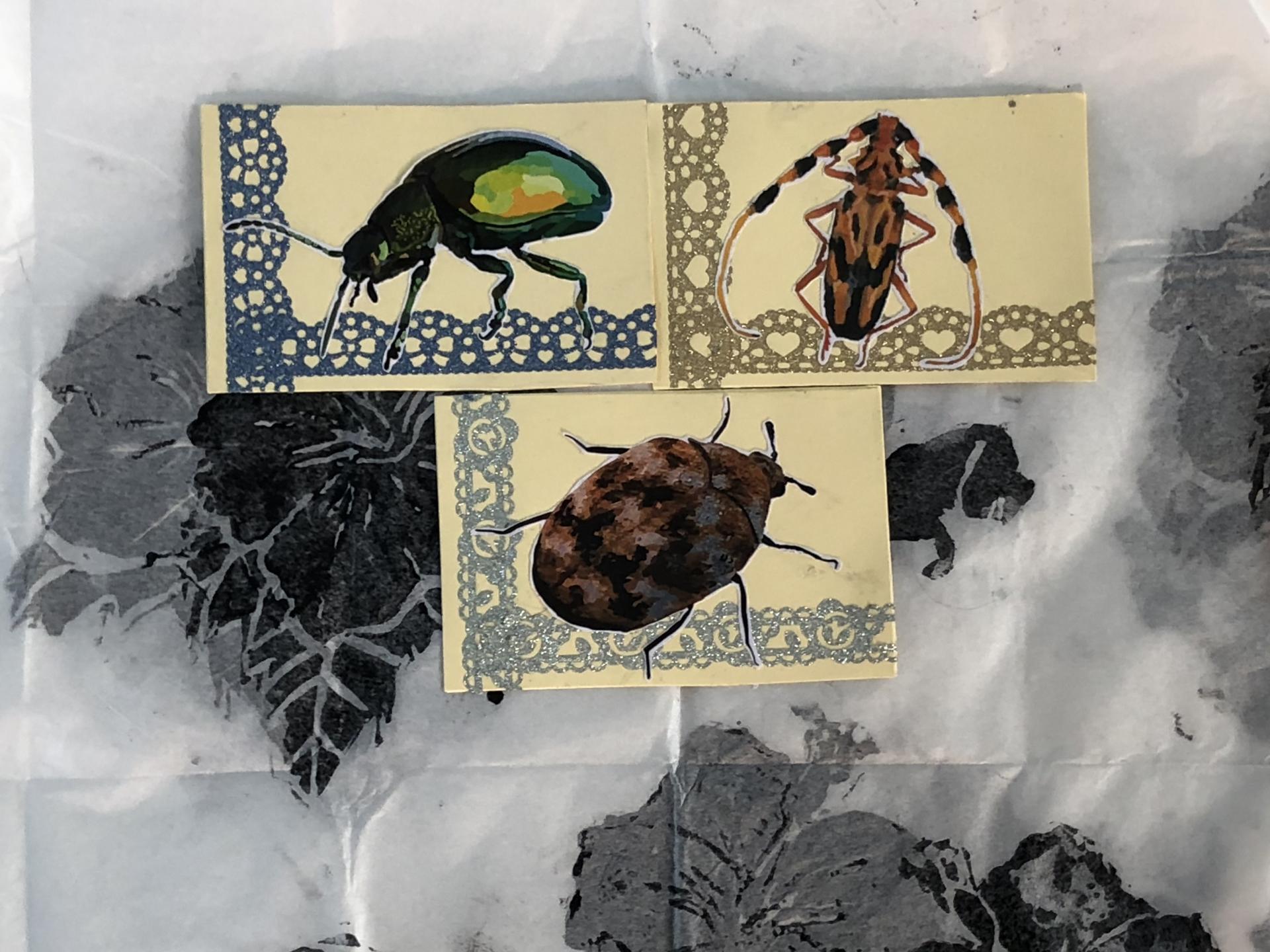 Ellie Burton | Pre-degree & Foundation Studies 1