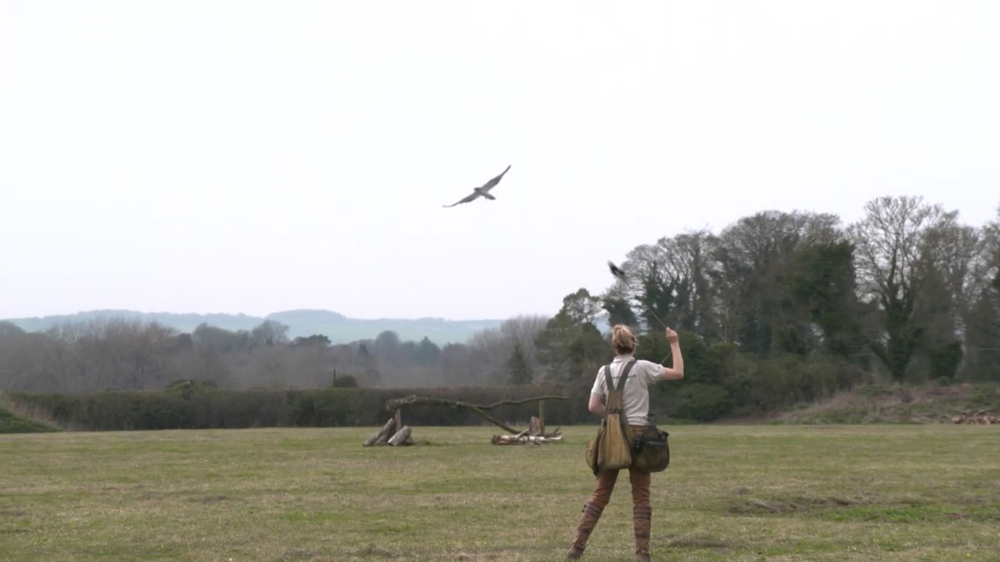 Richard Brown | Fine Art 4