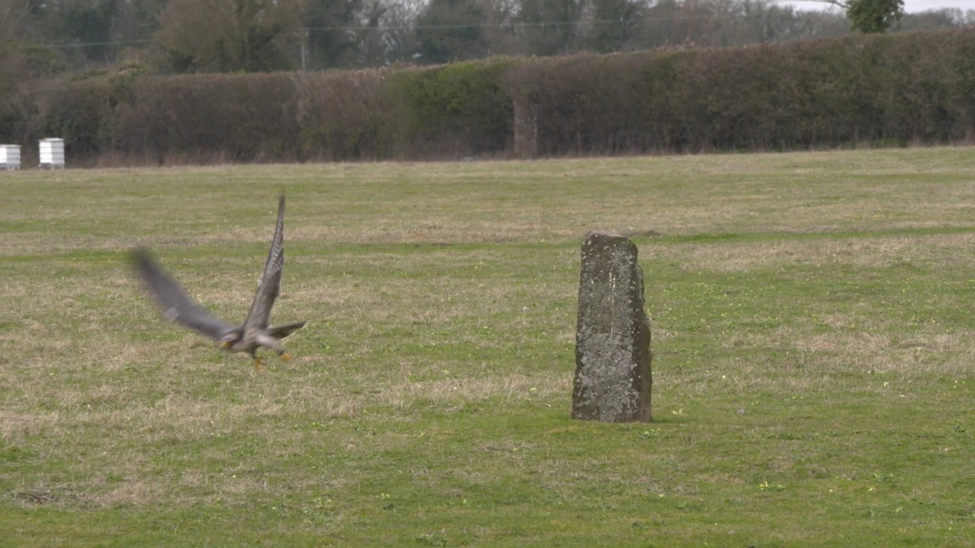 Richard Brown | Fine Art 3