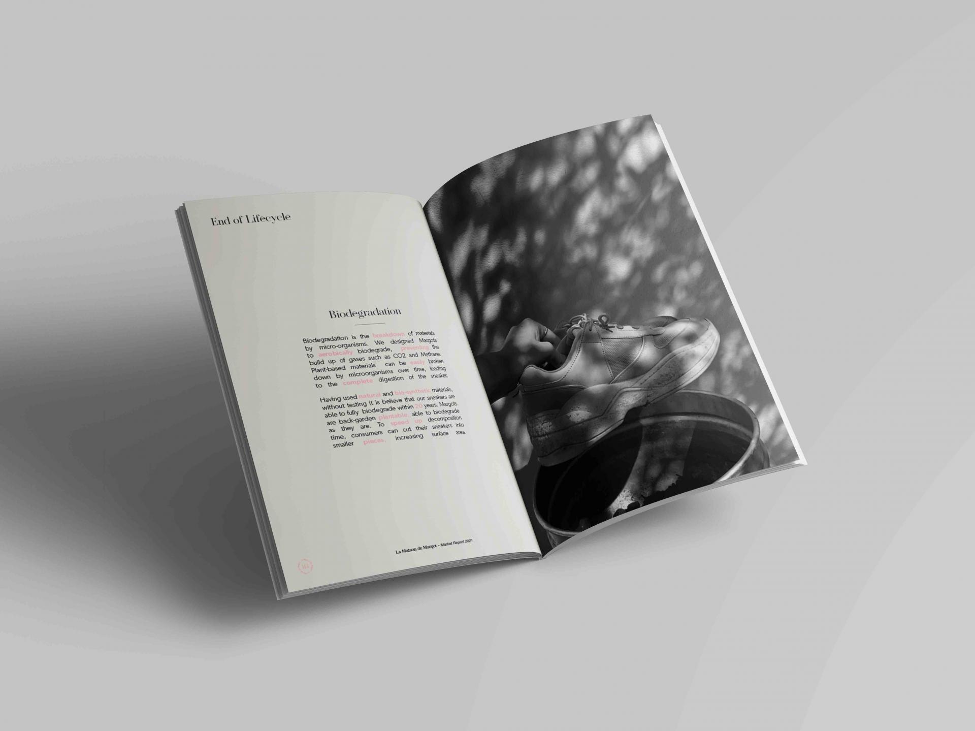 Sian Lewis | Business & Management