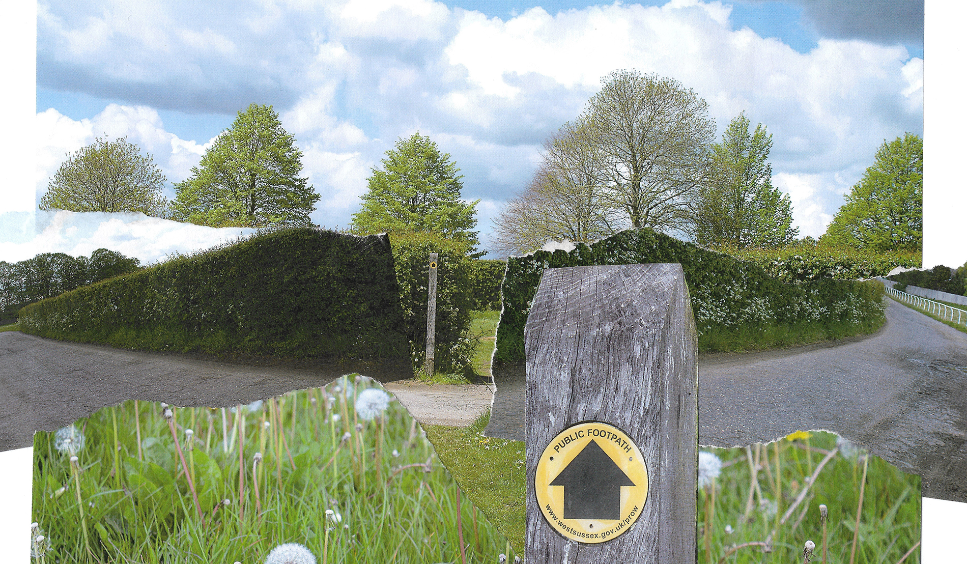 Isobel Sherlock-Fuidge | Photography 5