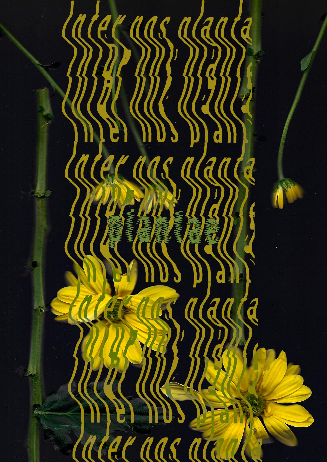 Heather Tennant | Fine Art