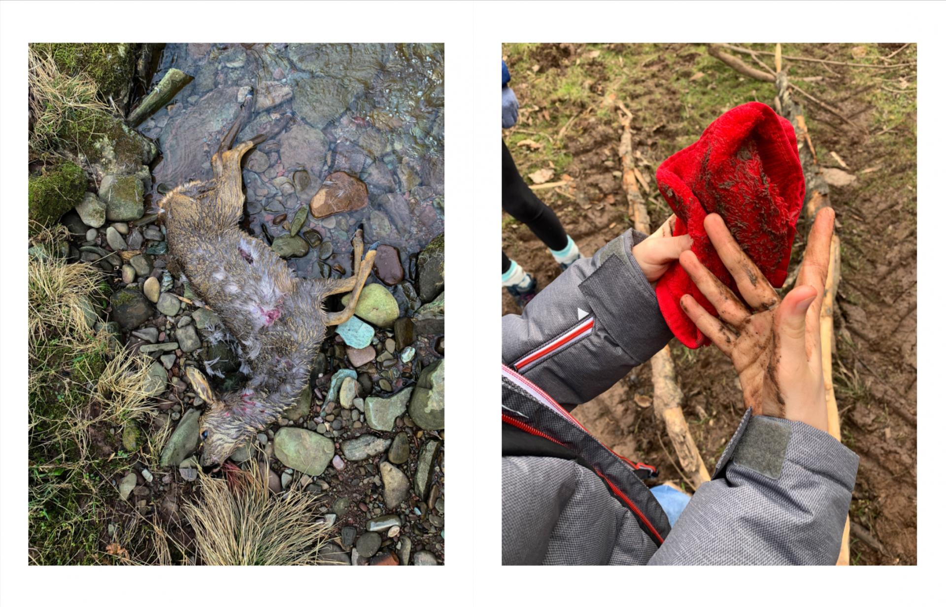 Harriet Brookes | Photography 4