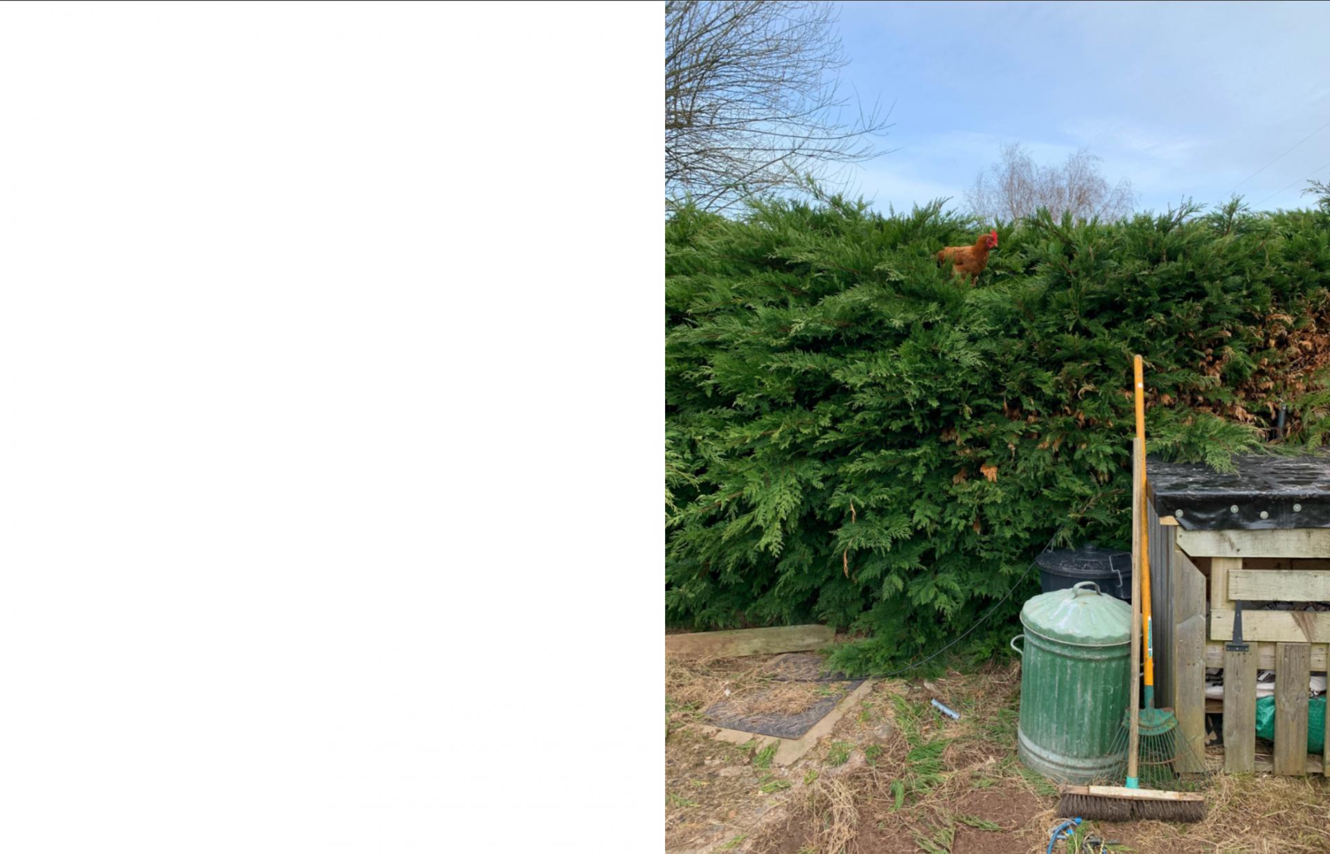 Harriet Brookes | Photography 3