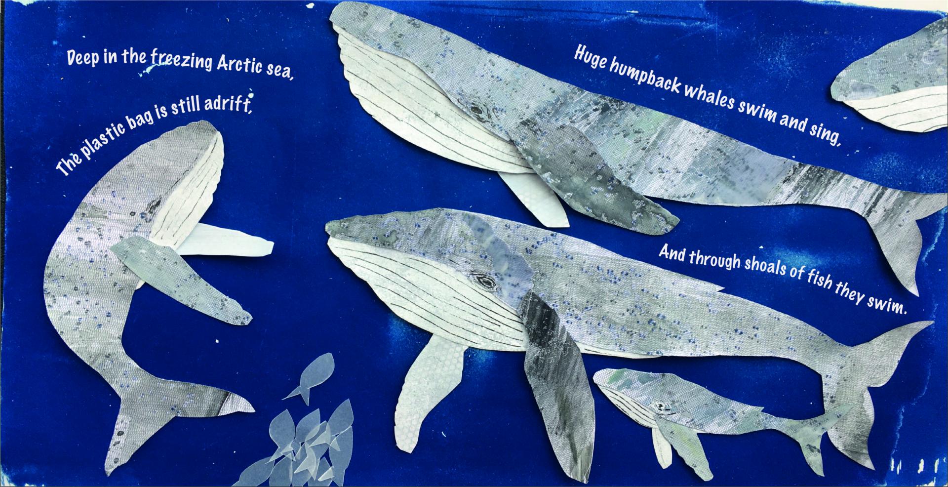 Samantha Comley | Illustration