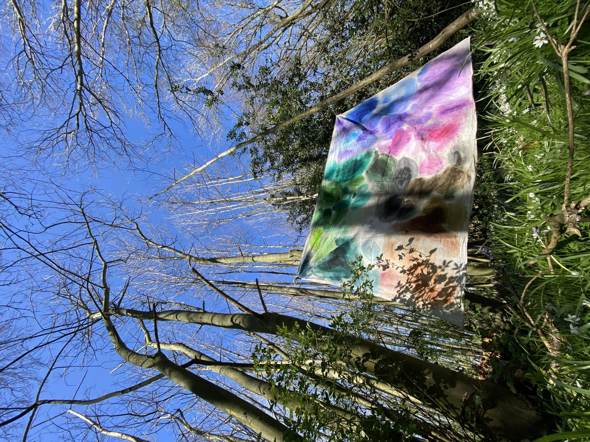 Arabella Muir | Pre-degree & Foundation Studies 1