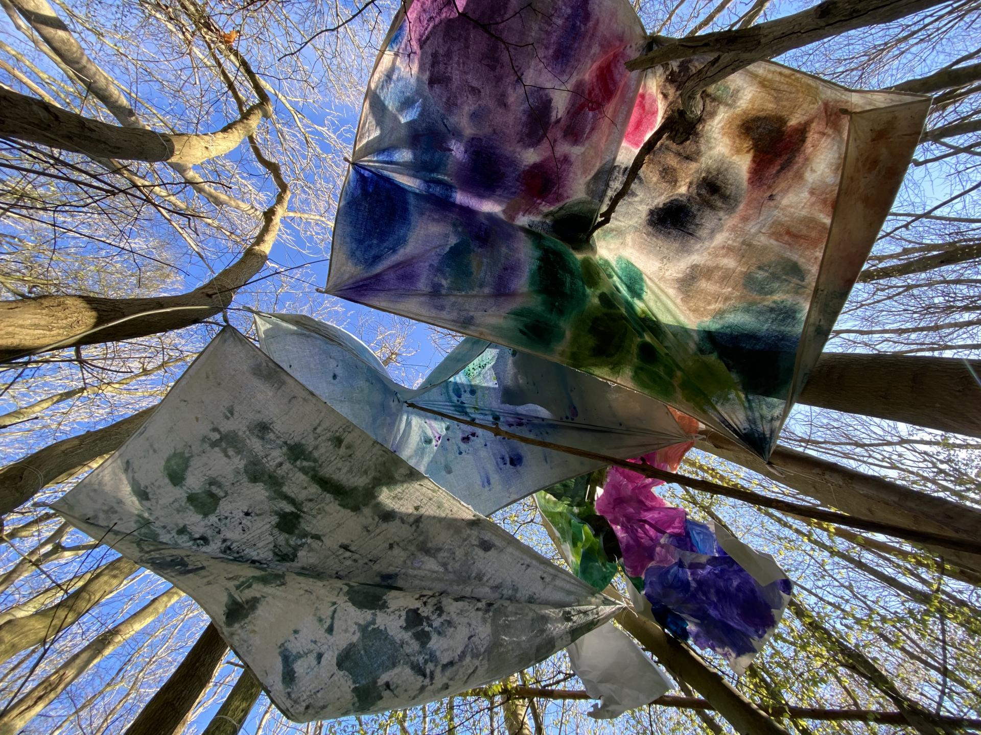 Arabella Muir | Pre-degree & Foundation Studies