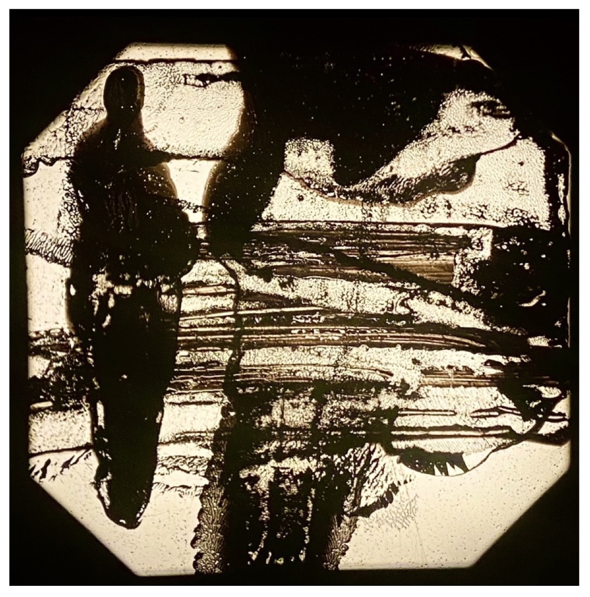 Ruby Watson | Pre-degree & Foundation Studies 4