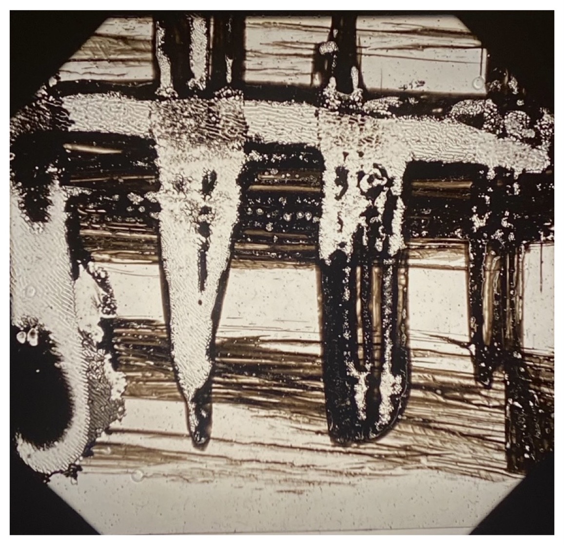 Ruby Watson | Pre-degree & Foundation Studies 1