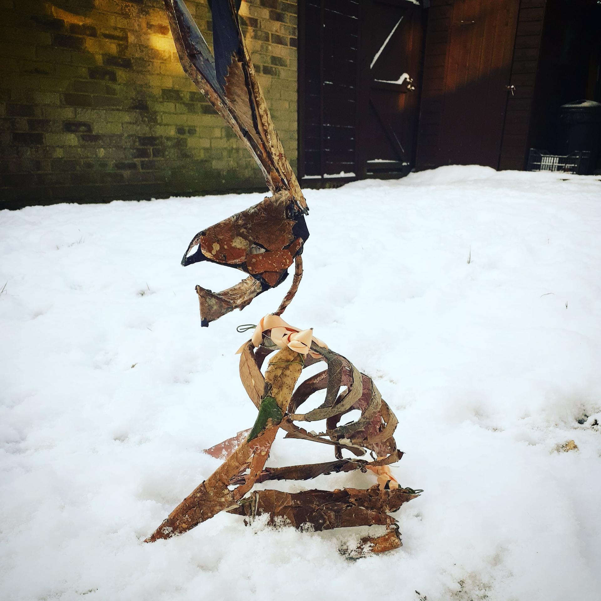 Tabetha Cooke | Pre-degree & Foundation Studies 1