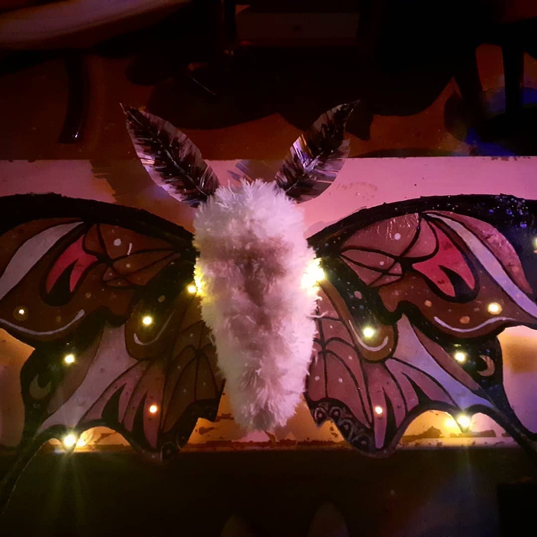 Tabetha Cooke | Pre-degree & Foundation Studies